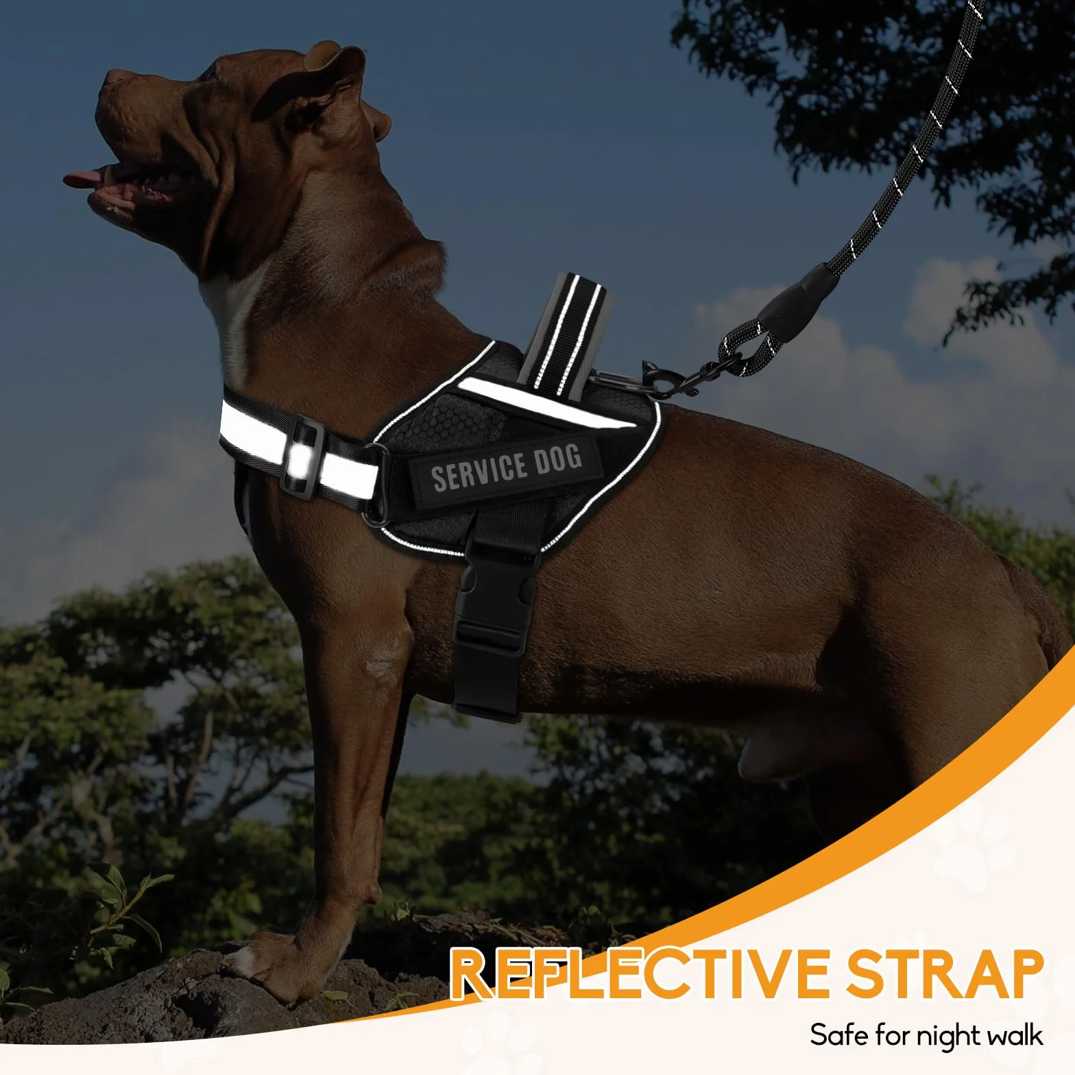 Animire Service Dog Vest Harness and Leash Set with 10 Patches, Reflective Leash Padded Handle for Dogs (Black, M)