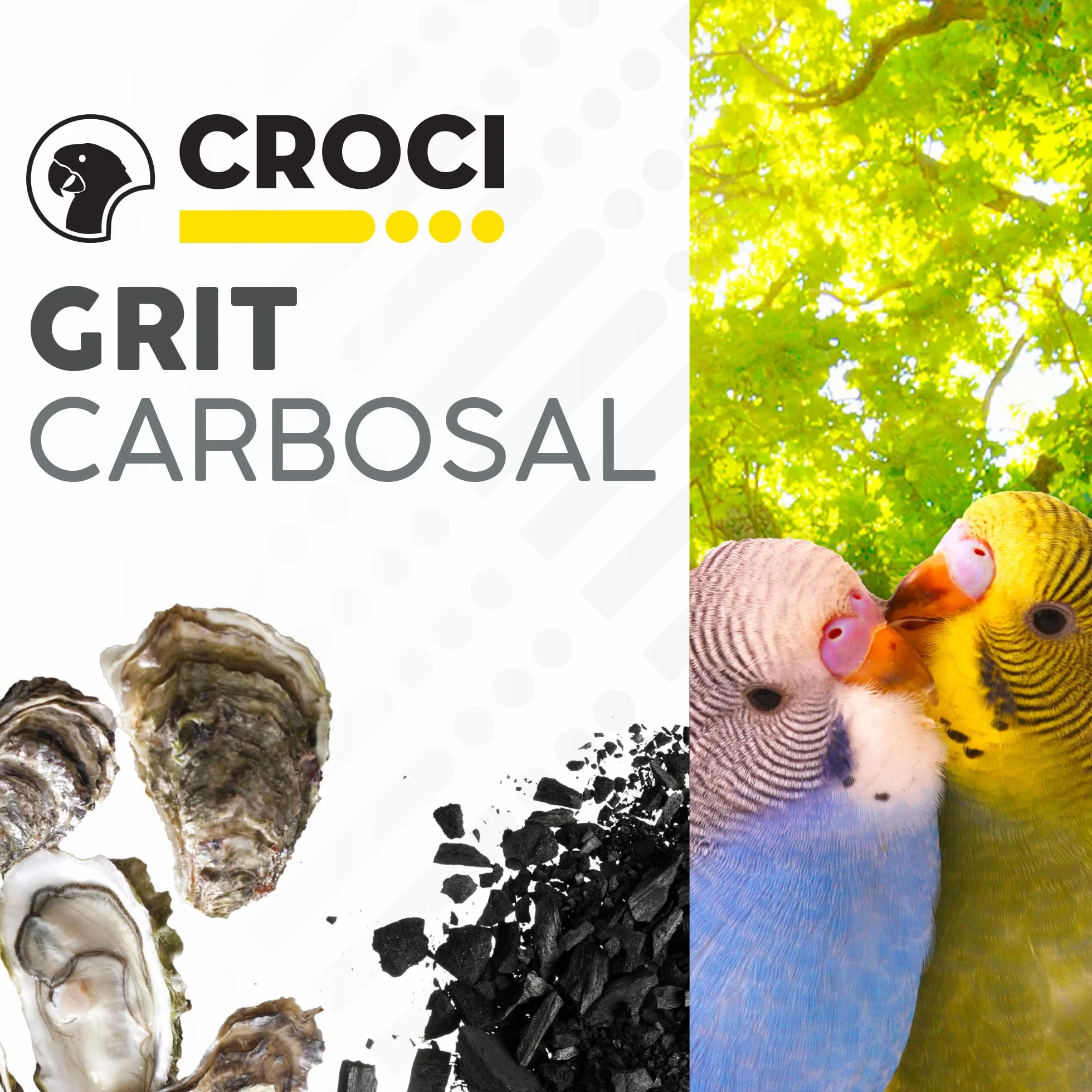 Croci Grit Carbosal 350 g - Mieszanka mineralna dla ptaków z wapniem i węglem roślinnym, z muszlami ostryg, wspomaga trawienie, dla kanarków, papug i ptaków egzotycznych