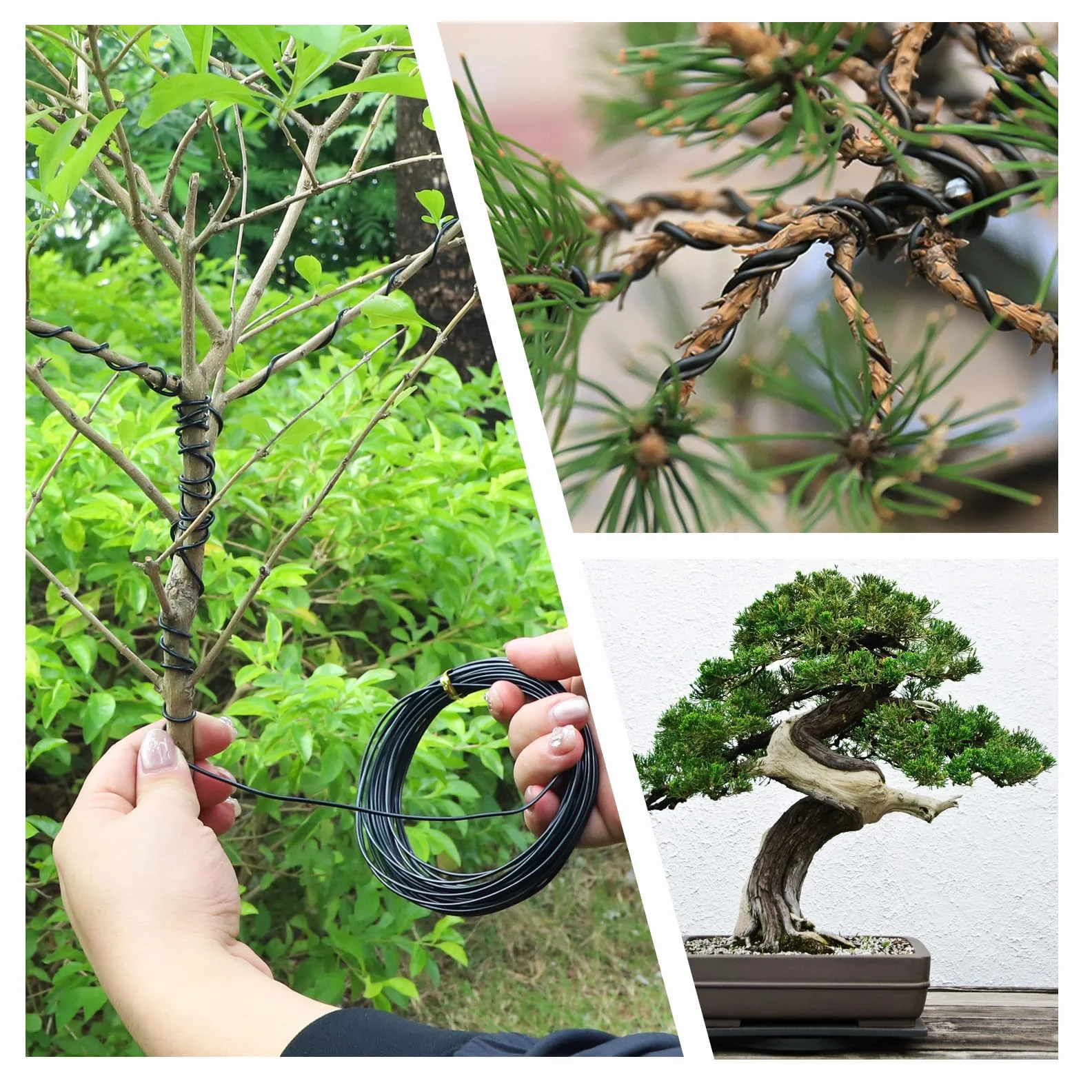 5 rolek drut bonsai do formowania, 1,0-3,0mm, czarny, 50m