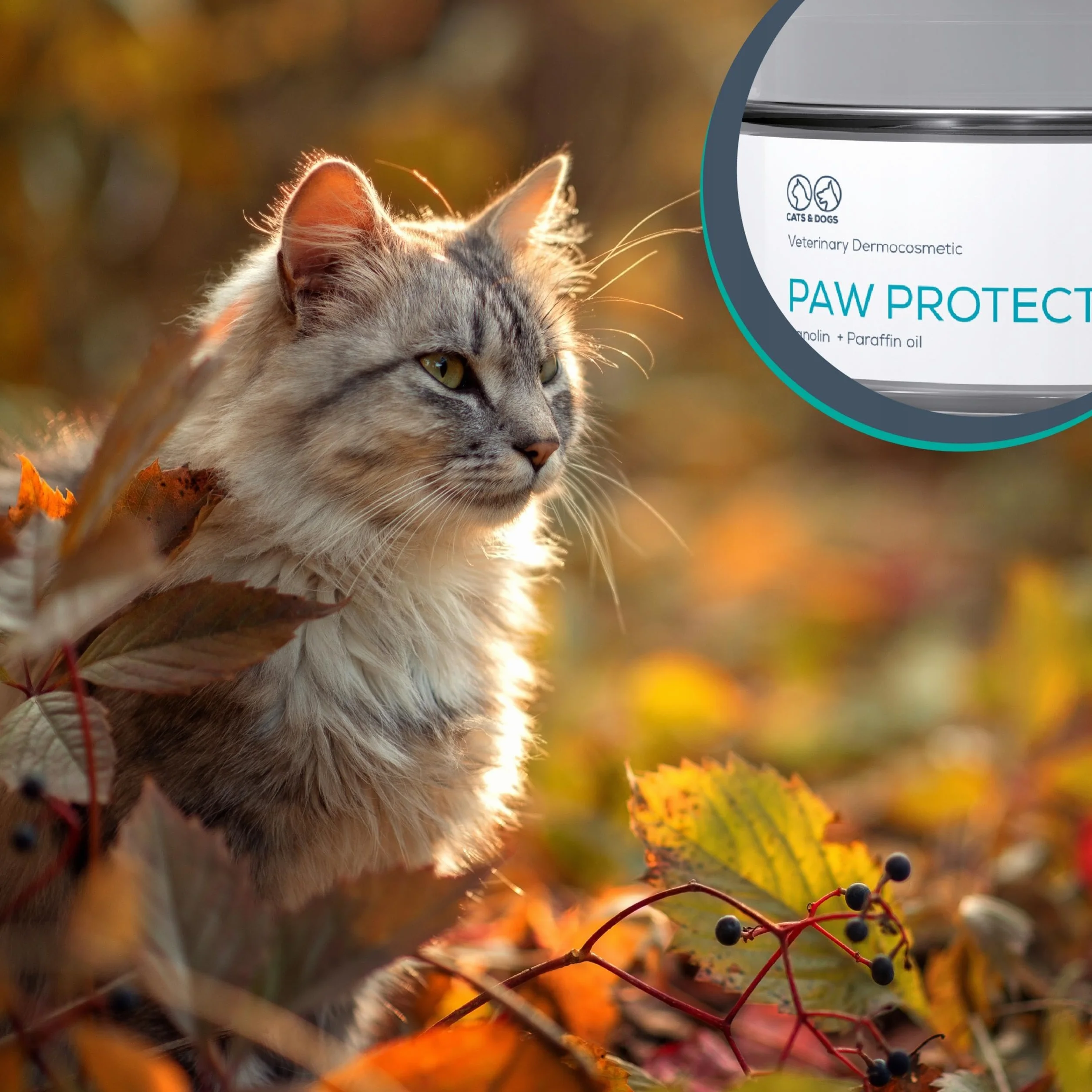 VET EXPERT PAW PROTECTION - maść ochronna do łap dla psów i kotów 75 ml