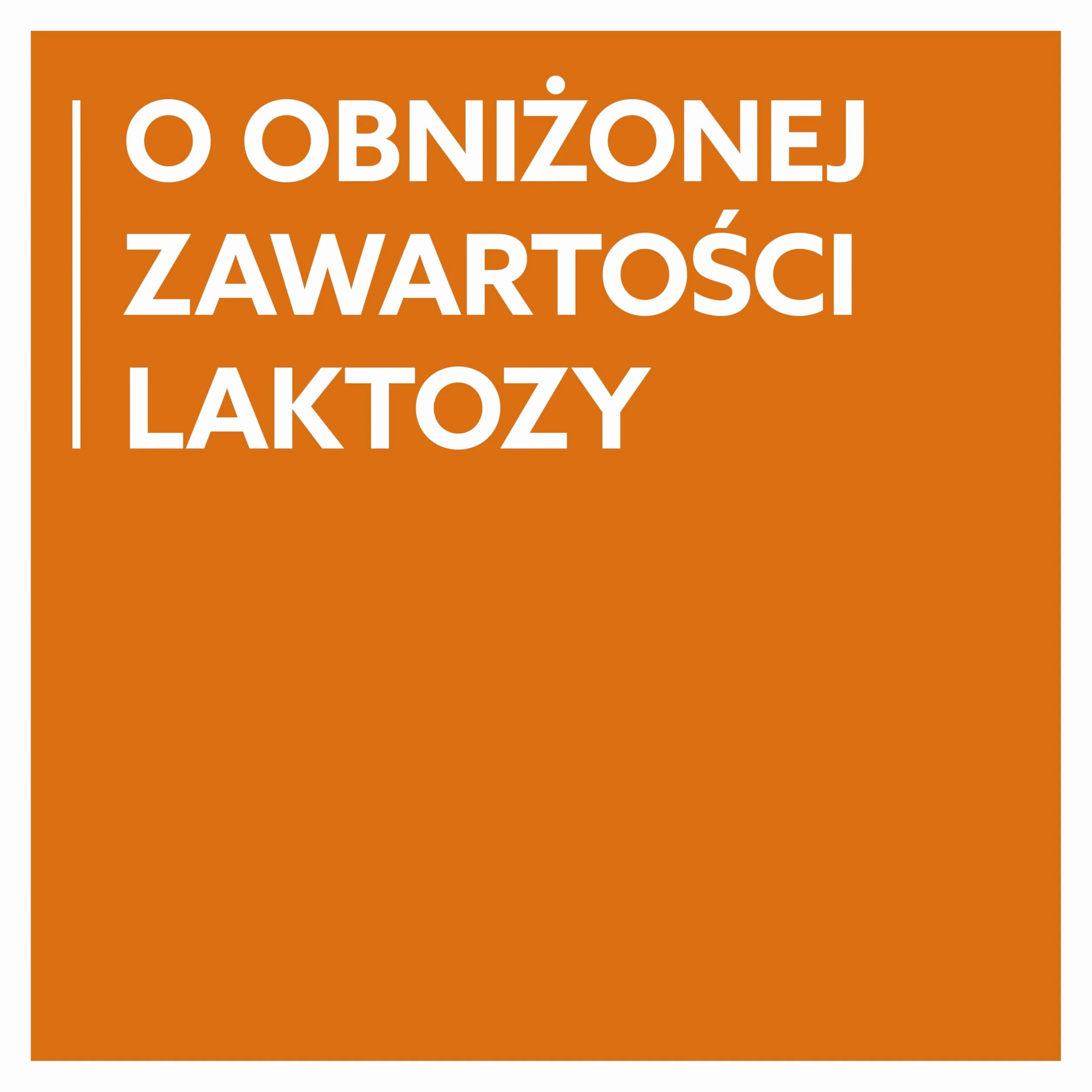 GimCat Pudding z serem kremowa przekąska z wapniem 100 g