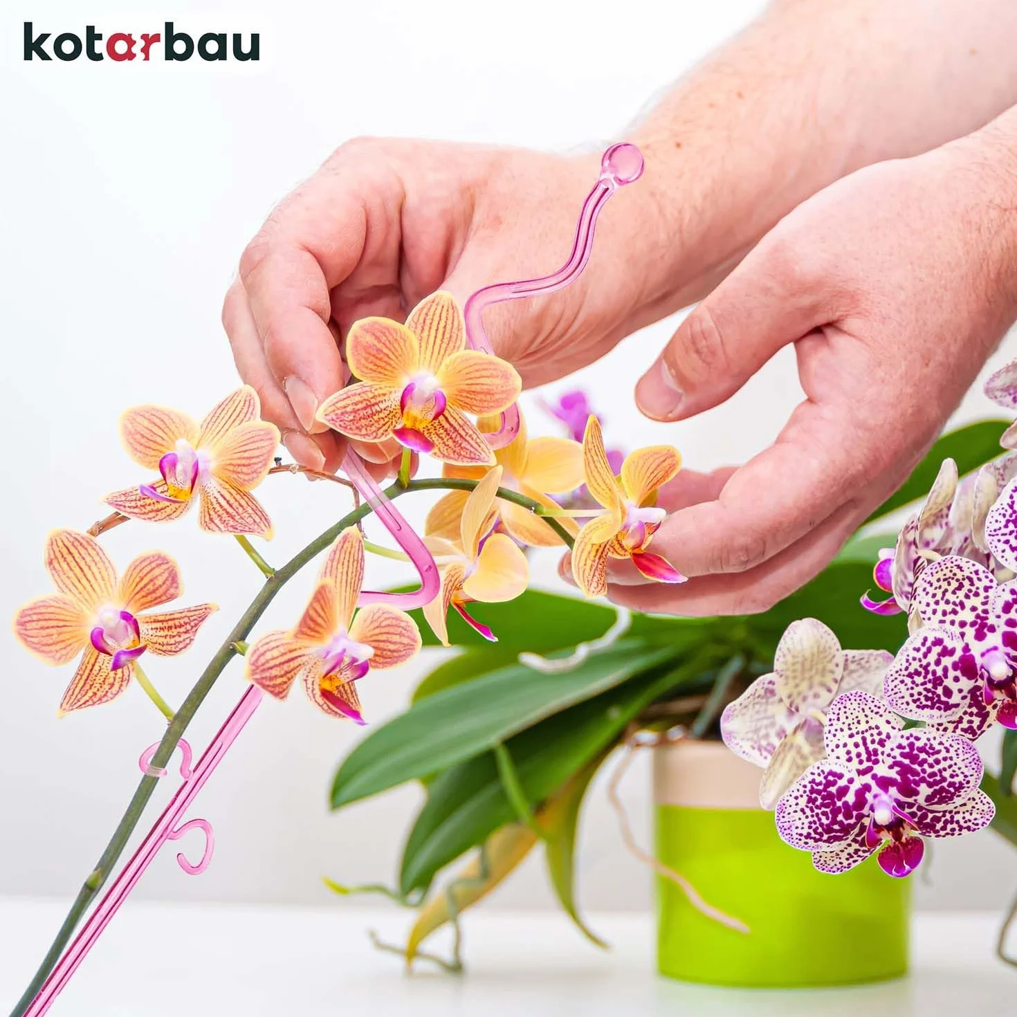 KOTARBAU® Zestaw 4 podpórek do roślin, różowy, PCW, 58 cm, podpórka do roślin pokojowych, do ogrodu, orchidei, podpórka do roślin, dekoracyjny uchwyt na rośliny, rośliny pokojowe