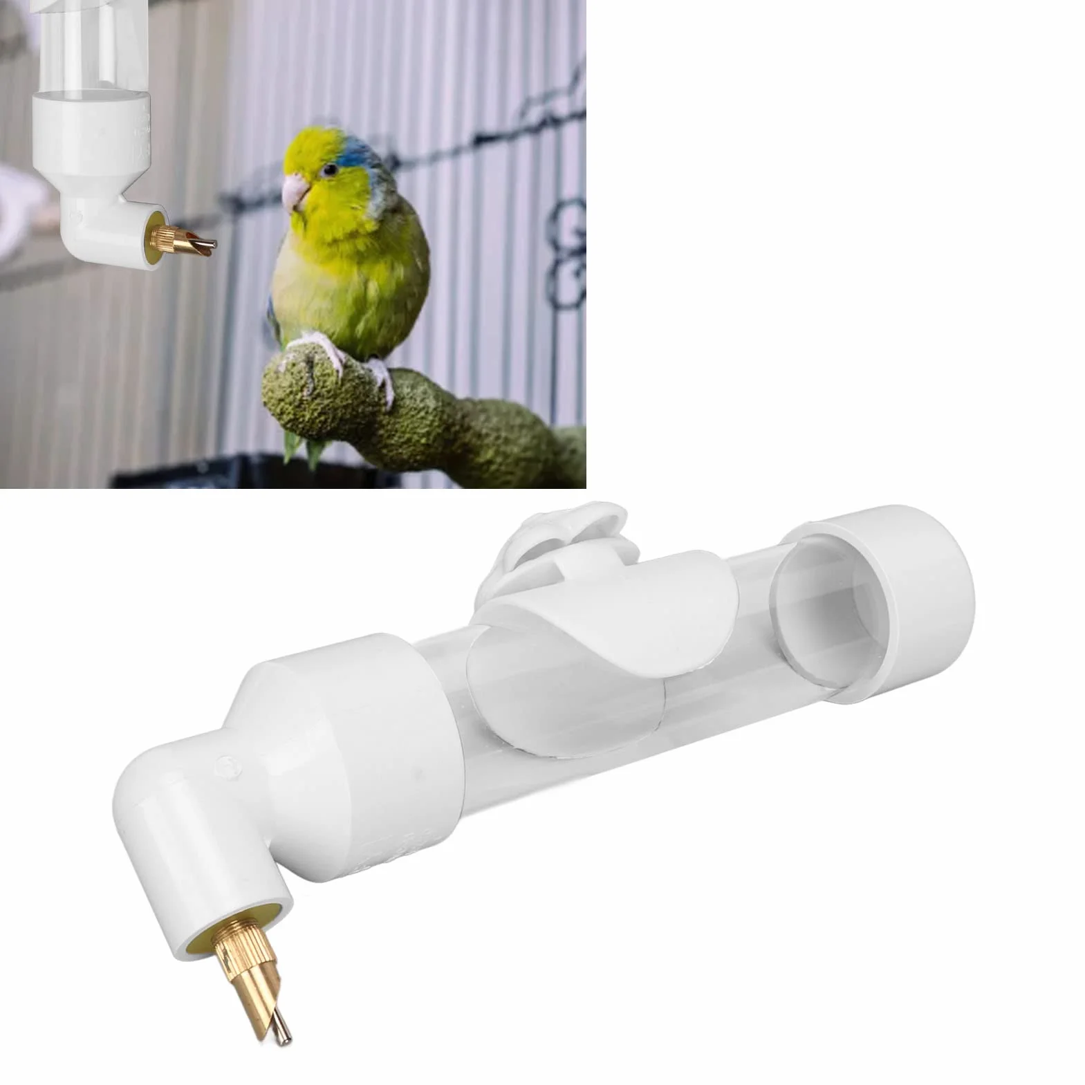 Poidło dla Ptaków, Papuga Automatyczne Urządzenie do Picia Waterer Automatyczne Urządzenie do Picia Podajnik Wody dla Nimfy Papugi Conure Lovebird Afrykańska Szara Ara (Biały)