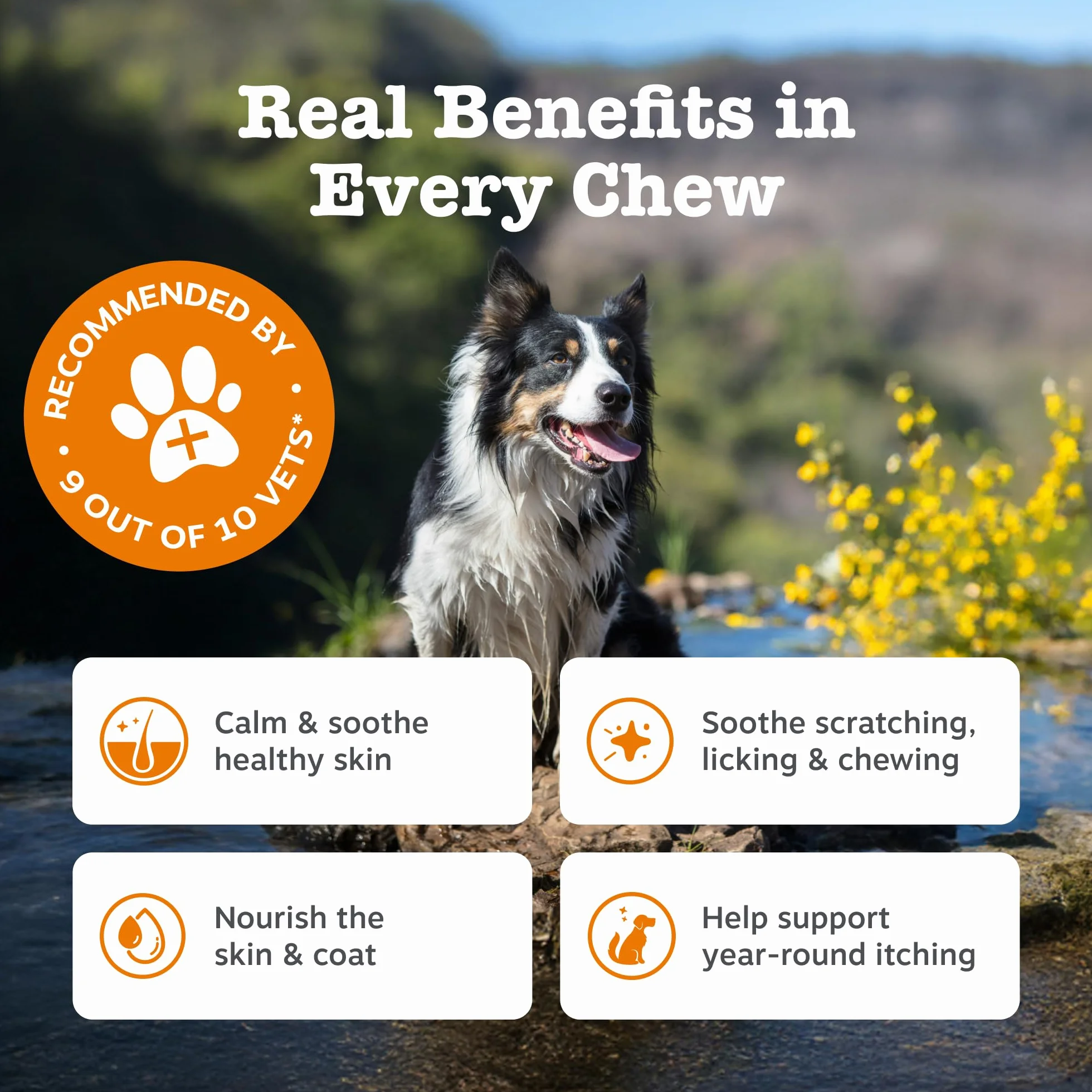 Zesty Paws Anti-Itch Chews for Dogs, 90 Chews, Soothes Itchy Skin & Supports Immune Health