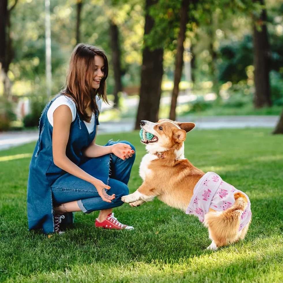 Aomig Pieluchy dla psów wielokrotnego użytku spodnie na nietrzymanie moczu królik sowa uśmiechnięta