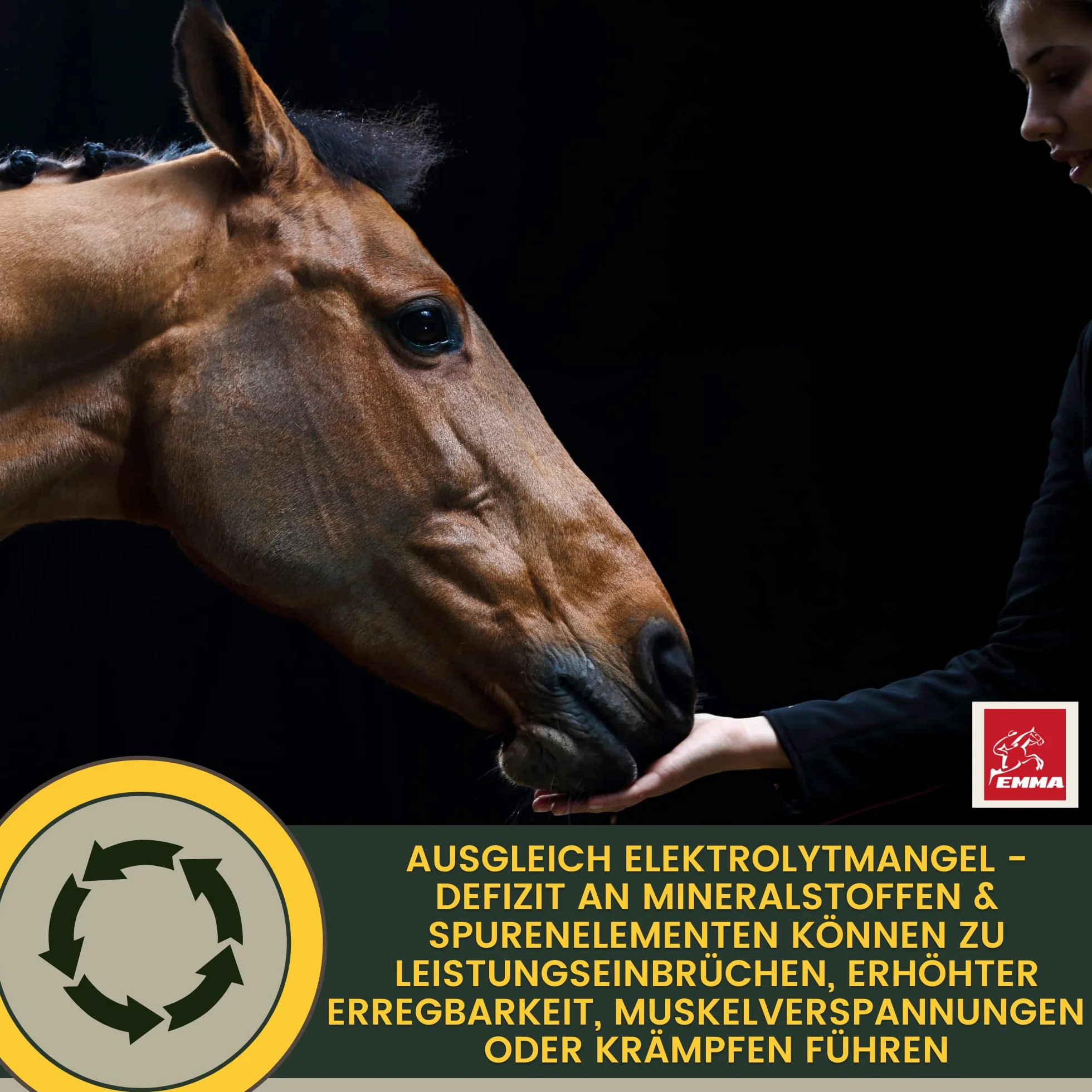 EMMA Pasta elektrolitowa z koniem 1 szt. – wzmacniacz elektrolitu z kompleksem witaminy B, potas, sód, wapń, magnez, szybkie nawodnienie w przypadku biegunki, pocenia się wody odchodowej, poceniu się