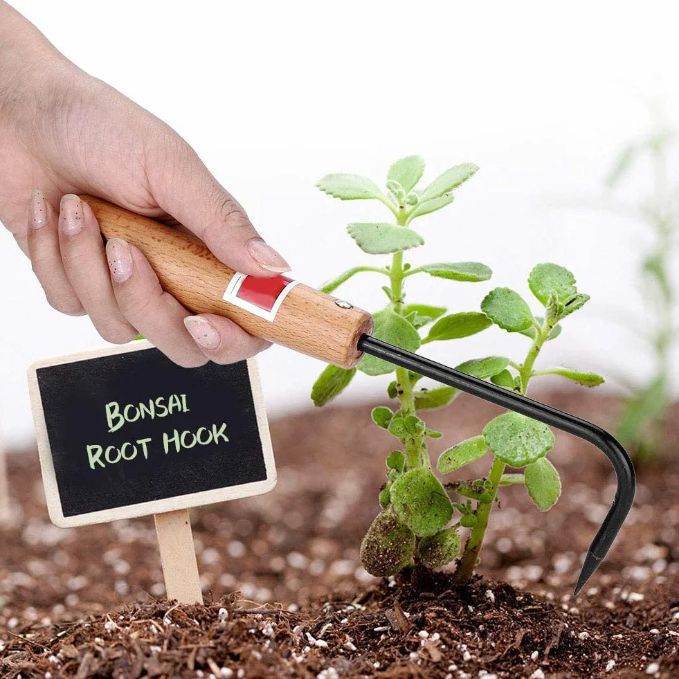 Ogrodnictwo Hak Bonsai, Drewniany Uchwyt Pielenie Hak Narzędzia Bonsai do Rośliny Doniczkowe Narzędzia Ogrodnicze Ogród Narzędzia do Pracy w Ogrodzie