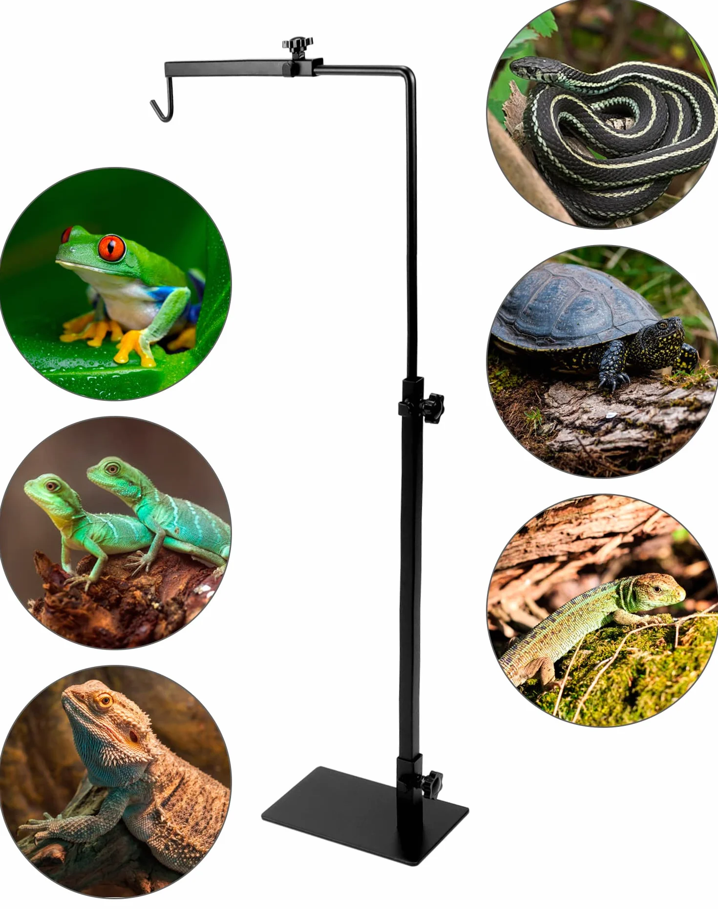 QWORK® Uchwyt lampy gadów do klatki siedliskowej, stojak na lampę grzewczą dla gadów, żółwi, gekonów pająków, regulowana wysokość 38-64 cm, szerokość 20-30 cm