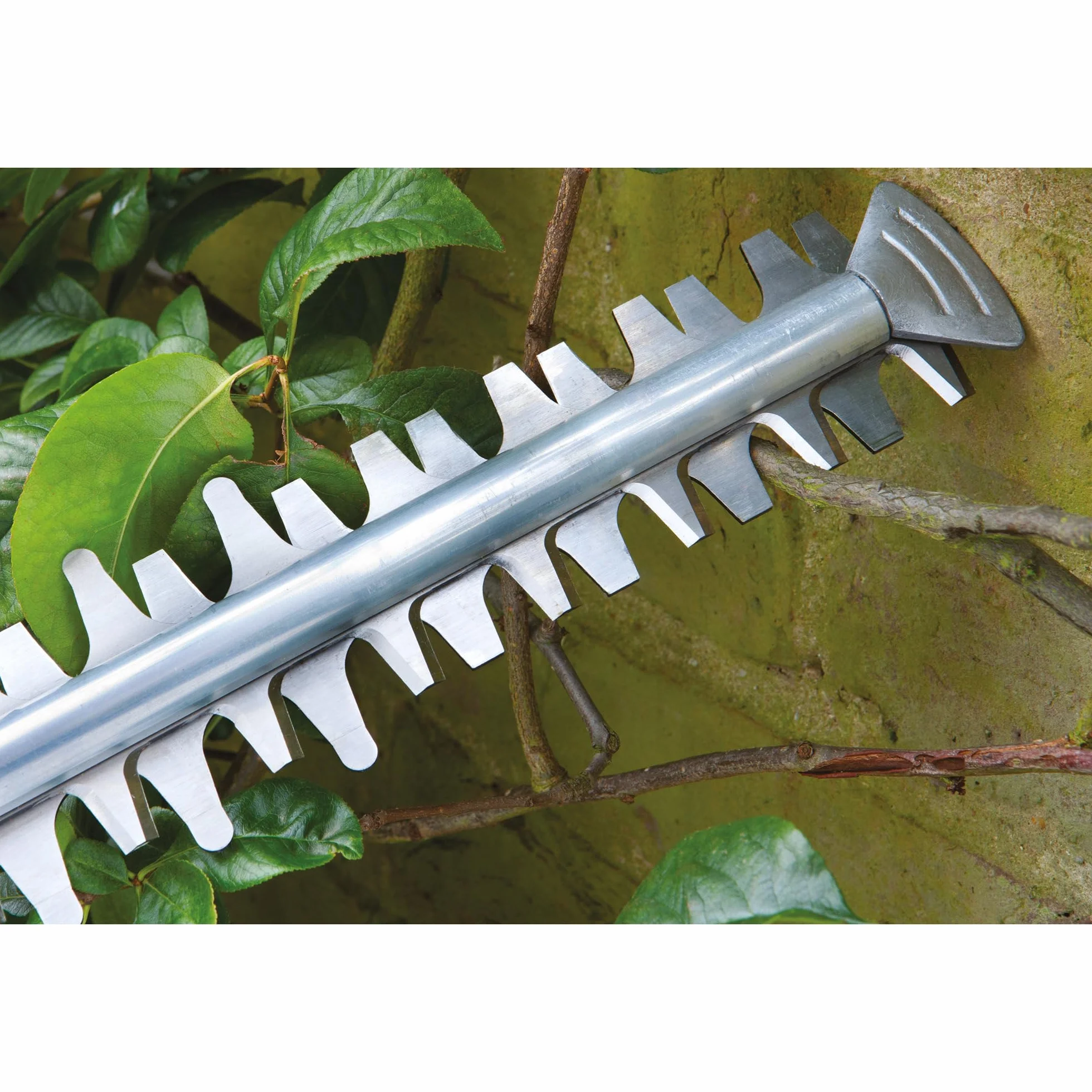 Bosch Home And Garden Akumulatorowe Nożyce do Żywopłotu, EasyHedgeCut 18-45, bez Akumulatora, System 18 V, Długość Ostrza 45 cm, w Opakowaniu Kartonowym