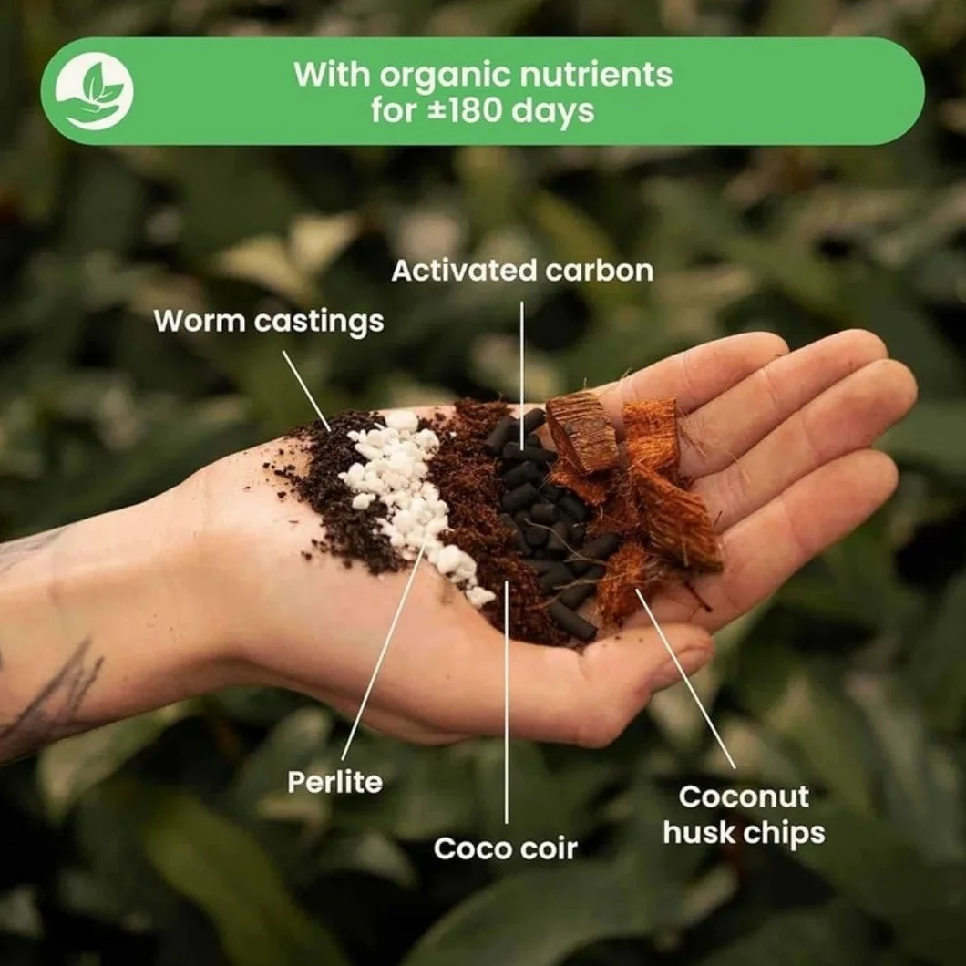 Sybotanica podłoże do Monstery i Filodendrona 5 L kokosowe bez torfu organiczne odżywianie