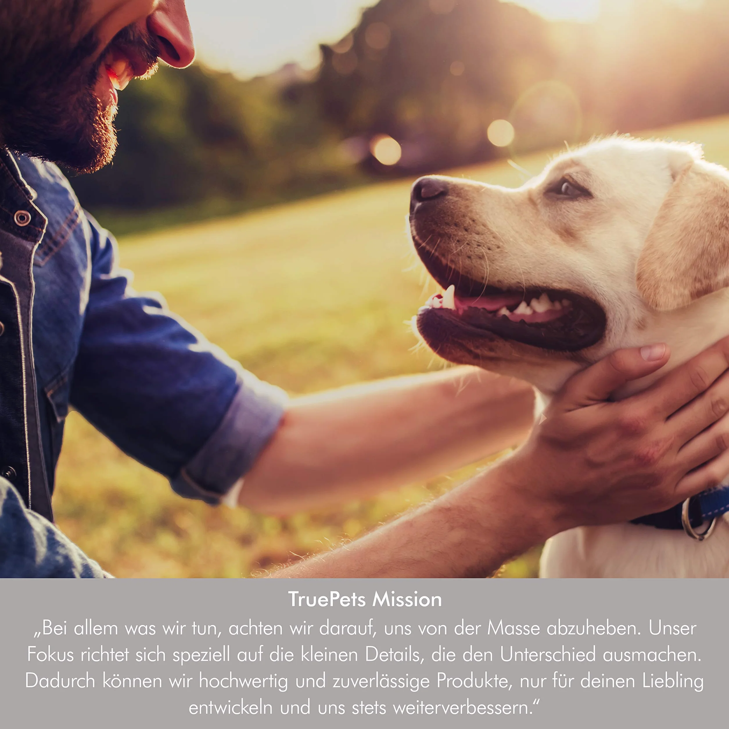 TruePets® Clicker Doog Clicker z elastycznym paskiem na rękę, z zatrzaskiem, idealnie nadaje się do edukacji psa, Clicker Doog (czarny/niebieski)