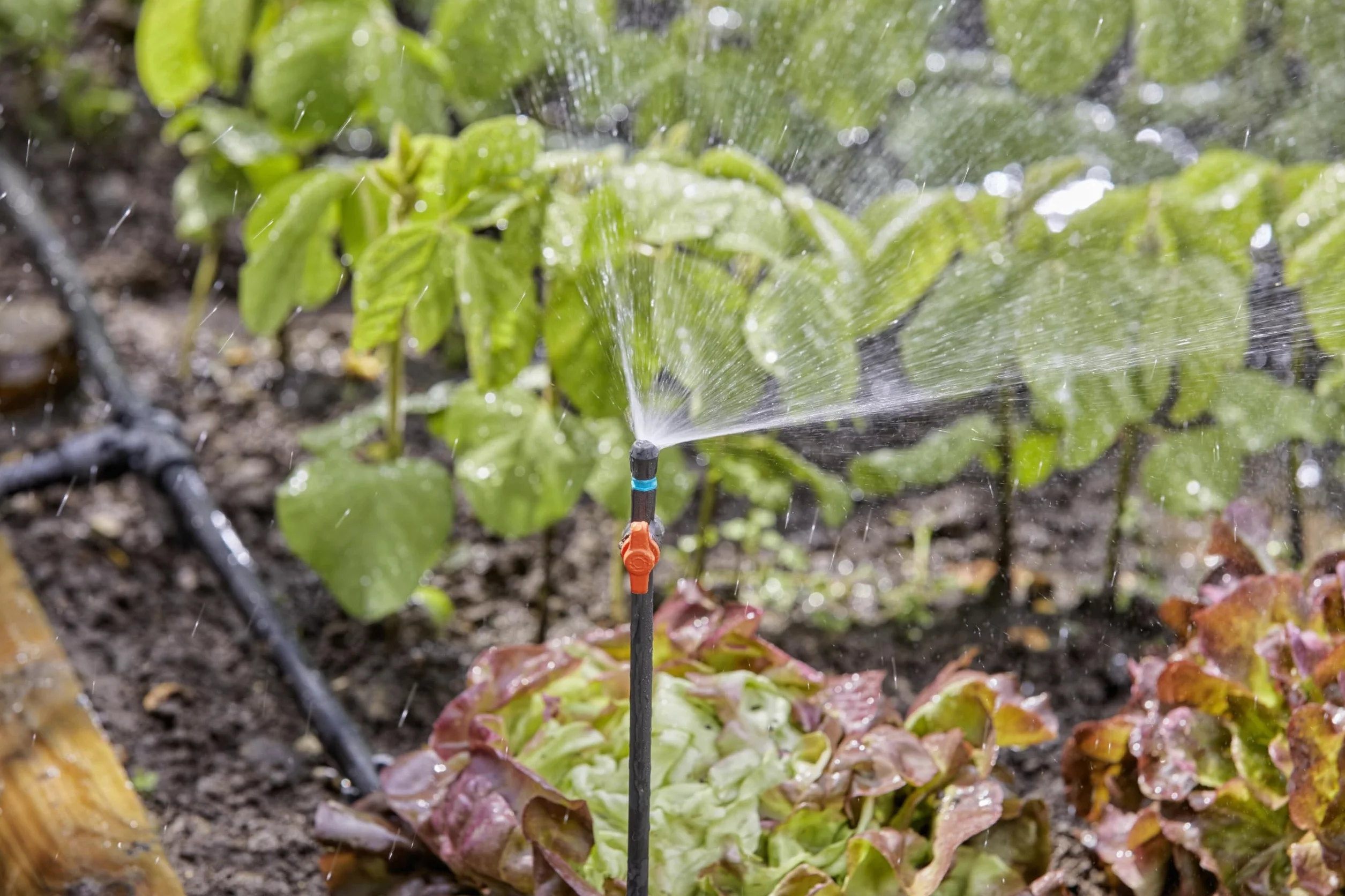 Gardena system Micro-Drip dysza rozpylająca 90 stopni: głowica rozpylająca 90 stopni, regulowane i wodooszczędne zraszanie, zasięg rozpylania 2,5 m, 5 szt. (13320-20)