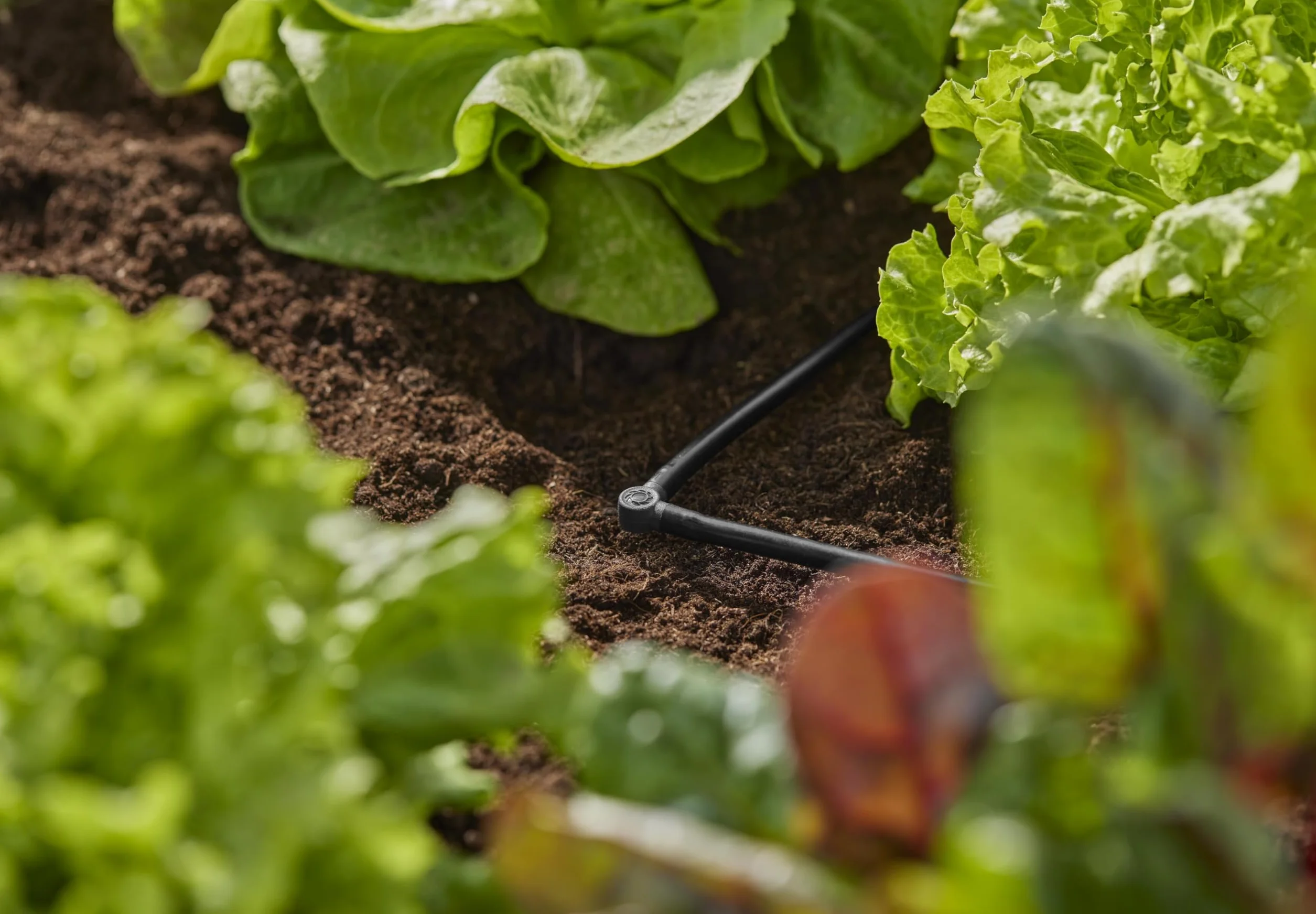 Gardena System Micro-Drip element L 4,6 mm (3/16 cala): Do zmiany kierunku o 90 stopni rur rozdzielających i kroplujących, instalacja bez zagięć, technika połączeniowa Easy & Flexible (13212-20)