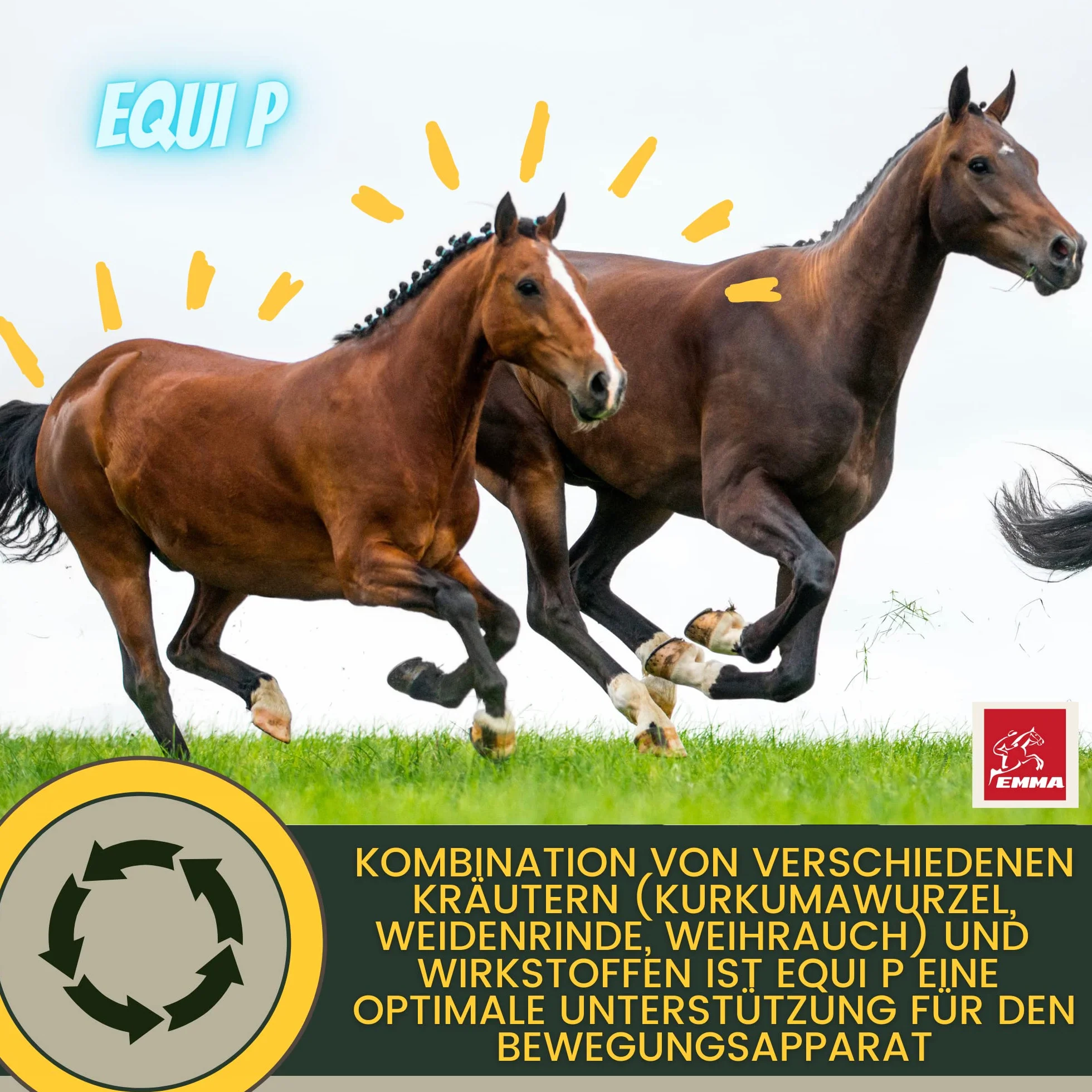 Equi P Pasta witaminowa Plus Glukozamina Chondroityna dla stawów ścięgna więzadła chrząstka 1 szt