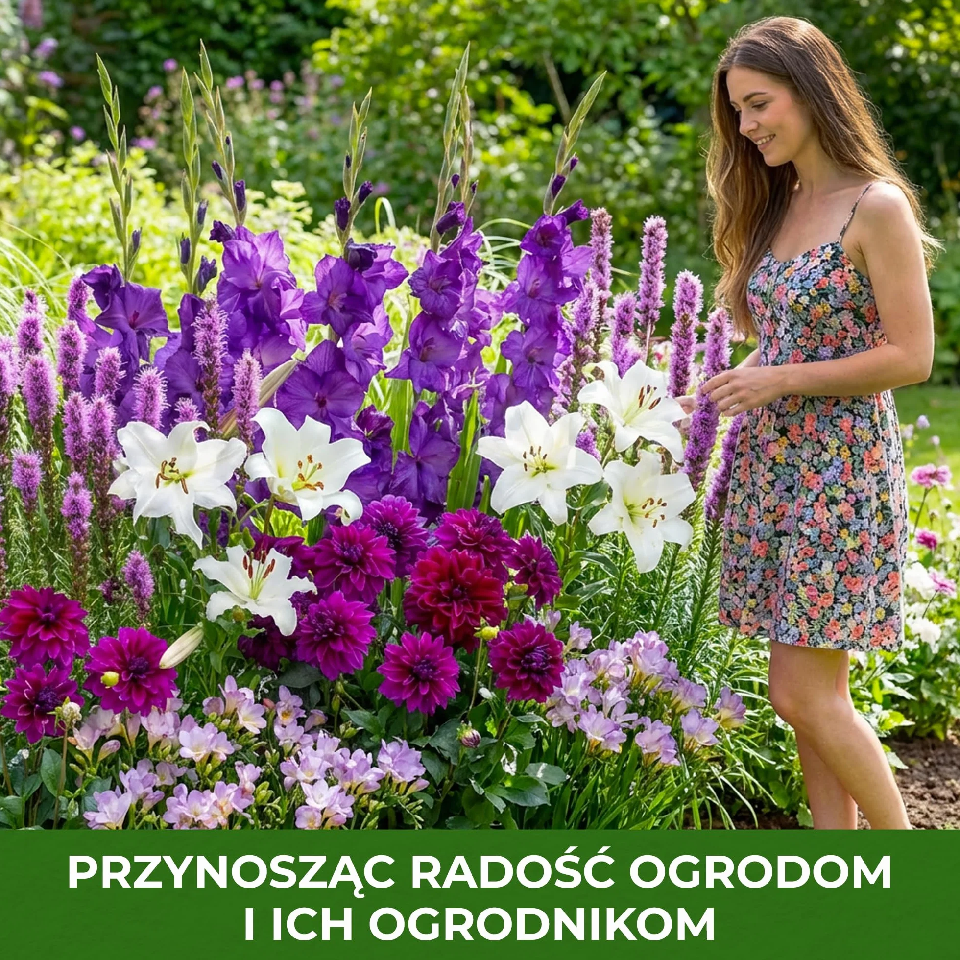 Letnie cebulki kwiatowe Purple Garden Collection - 25 bulw - mieczyki/dalie/lilie/freezje/liatry - odporna wieloletnia mieszanka cebulek - holenderska jakość - do ogrodu, doniczek