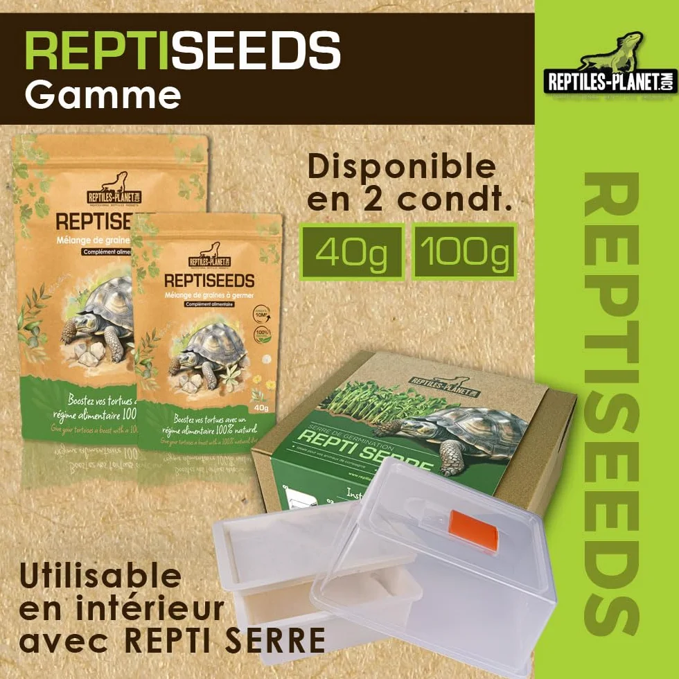 Reptiles Planet - Reptiseeds - Mieszanka nasion kiełkujących żółwia ziemnego - 100g