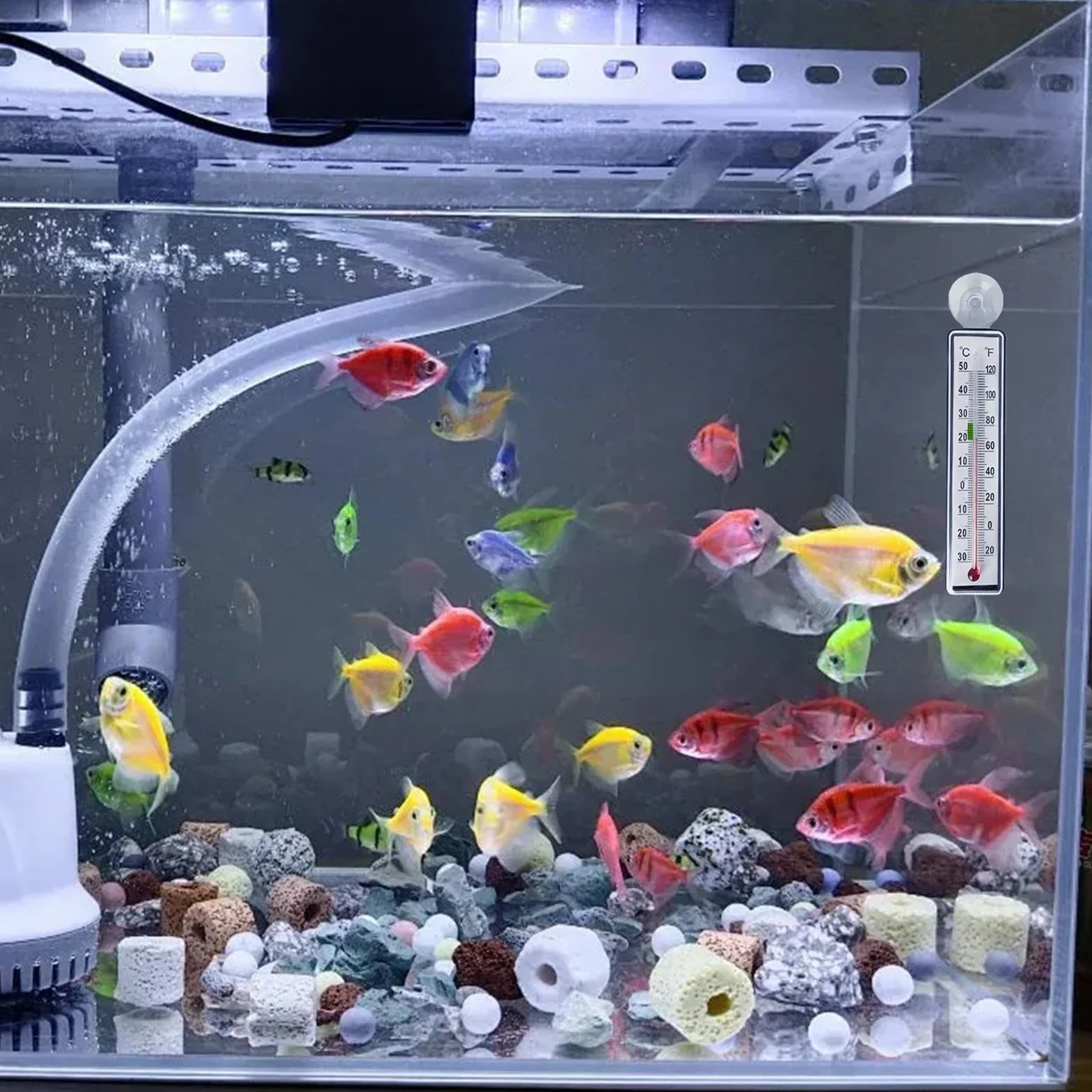 Termometr do Akwarium - Monitor Temperatury w Terrarium - Antykolizyjny Termometr Z Przyssawką Dla Terrarium Gadów Akwarium Gotowania Warzenia I Pieczenia