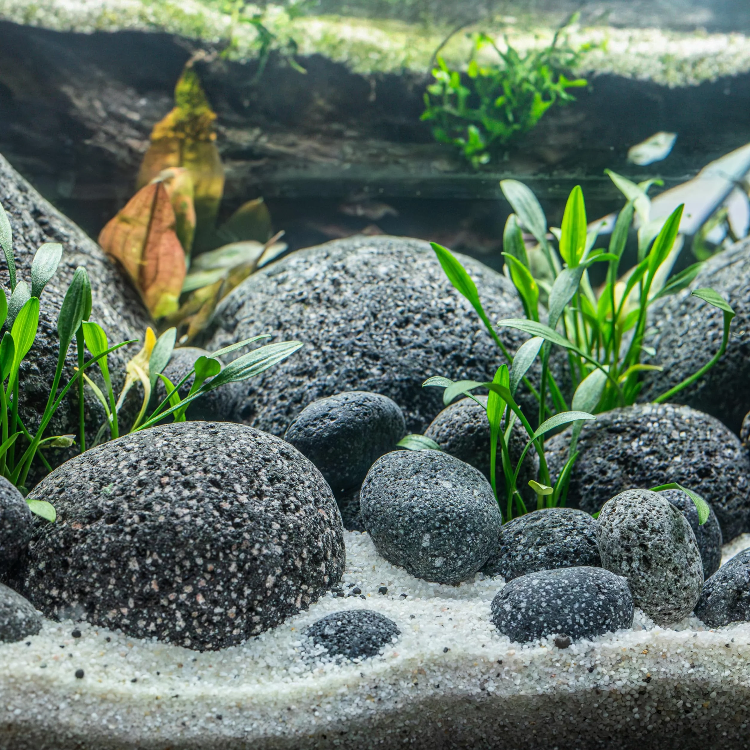 ARKA mySCAPE-LAVA PEBBLES Kamienie do aquascapingu 10-200 mm 10 kg