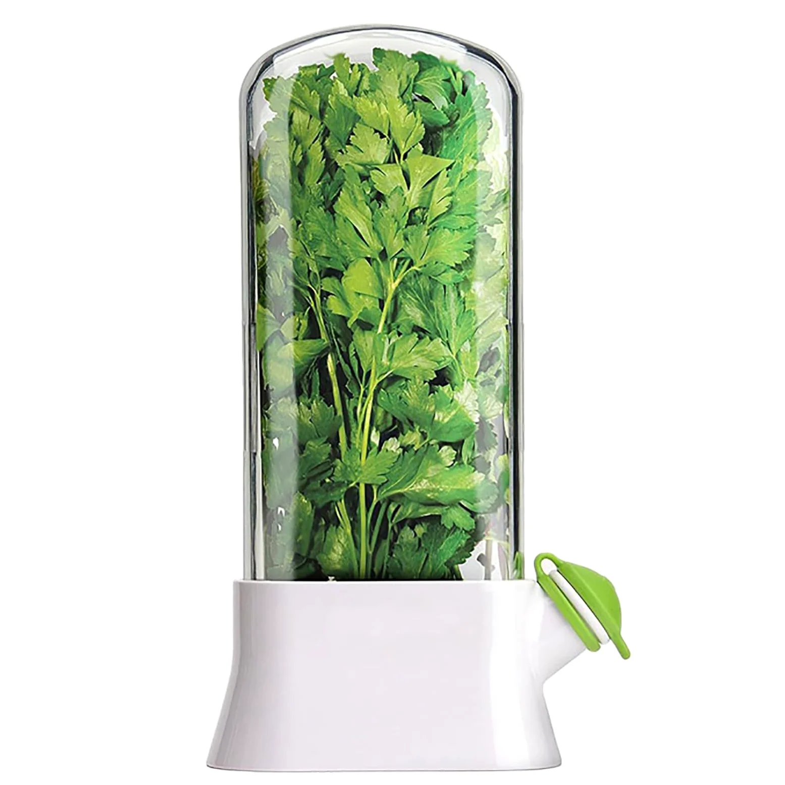 Pojemnik na zioła do lodówki z tworzywa sztucznego Herb Saver Pod na koperek, miętę, pietruszkę i szparagi, NOENNULL1o5g2ie6dm