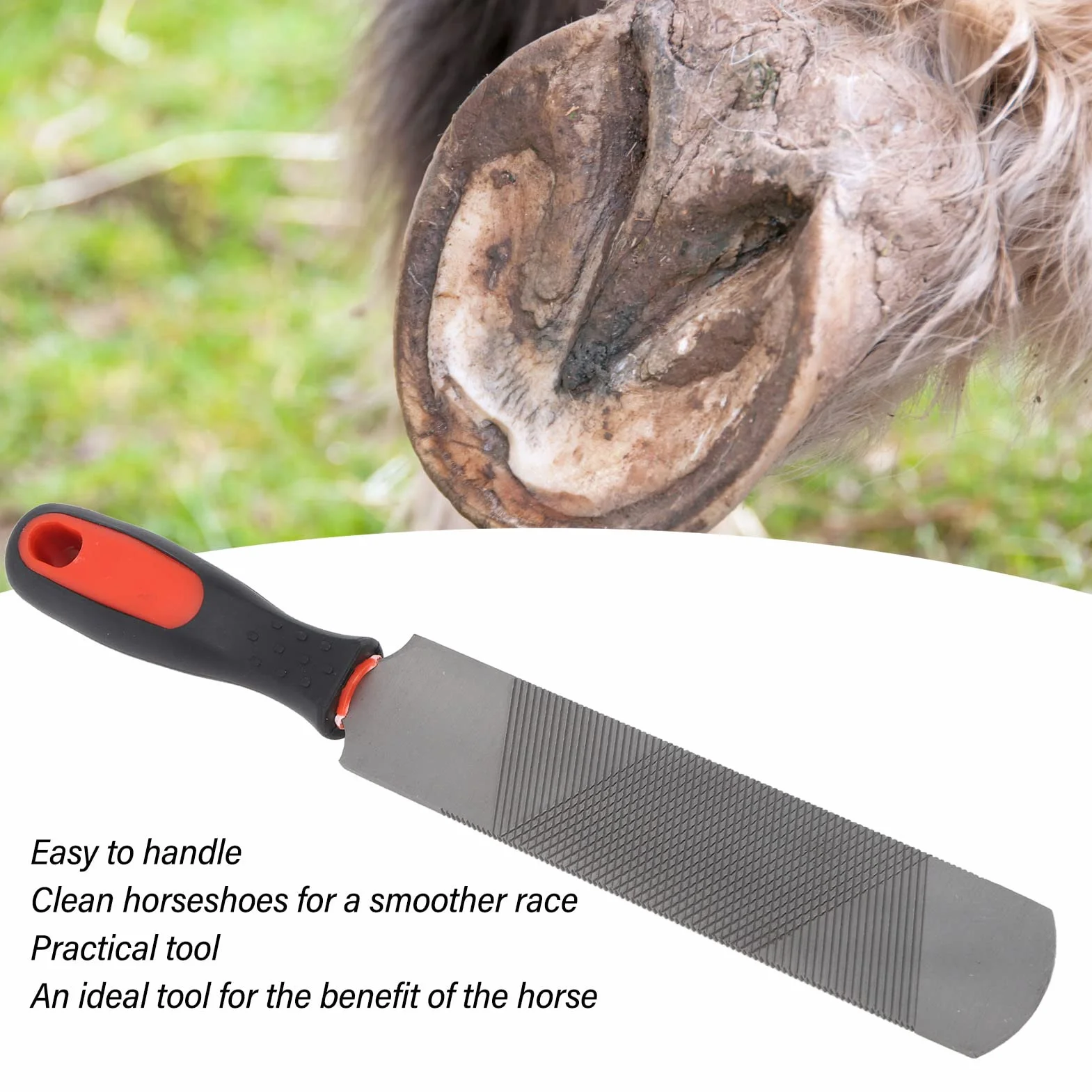 Dwustronny tarnik do kopyt ze stali węglowej 20 cm, ergonomiczny pilnik do przycinania kopyt koni