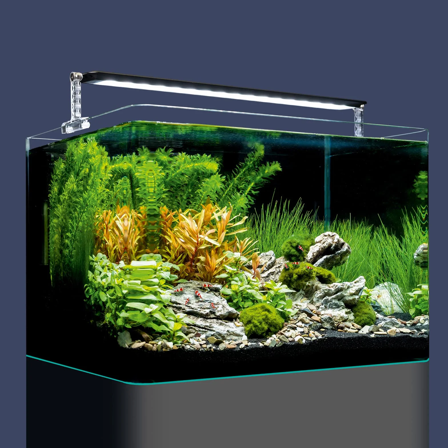 Dennerle Nano Tank Plant Pro, 35 litrów