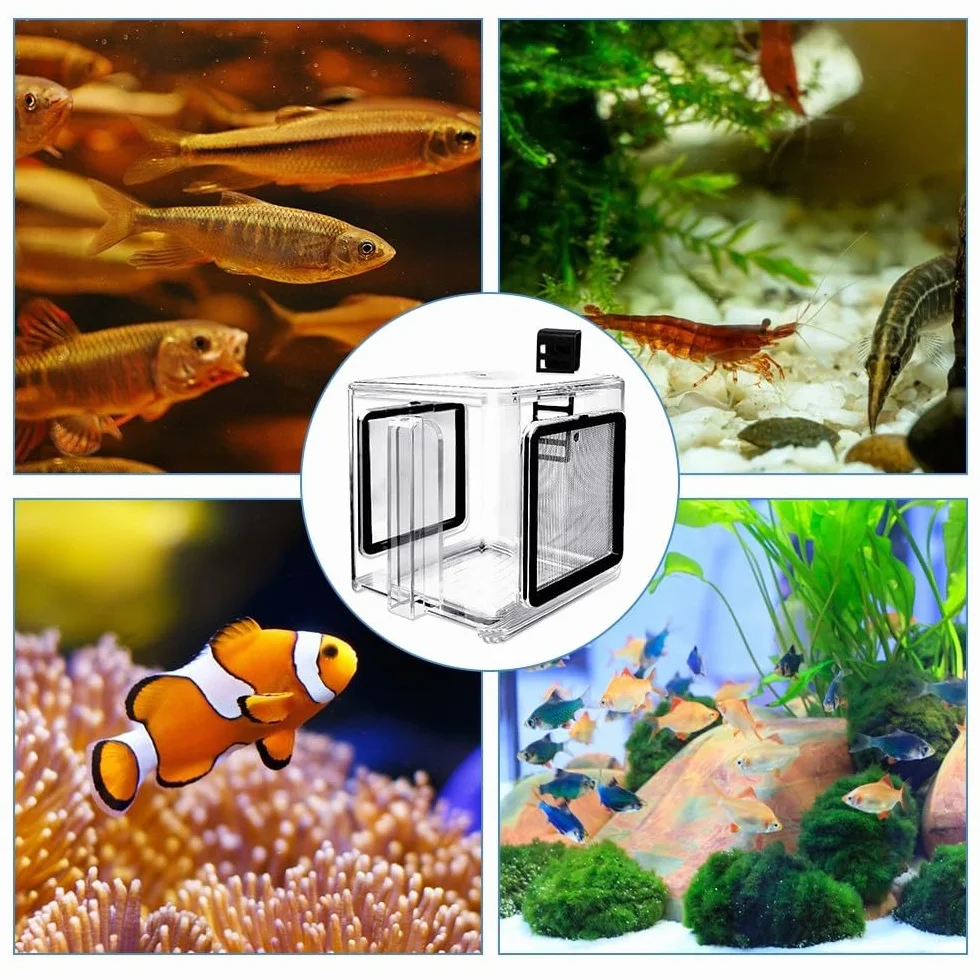 Skrzynka do hodowli akwarium, małe akrylowe pudełko do hodowli ryb, zdejmowana inkubator dla ryb i krewetek do akwariów, 15 x 15 x 15 cm