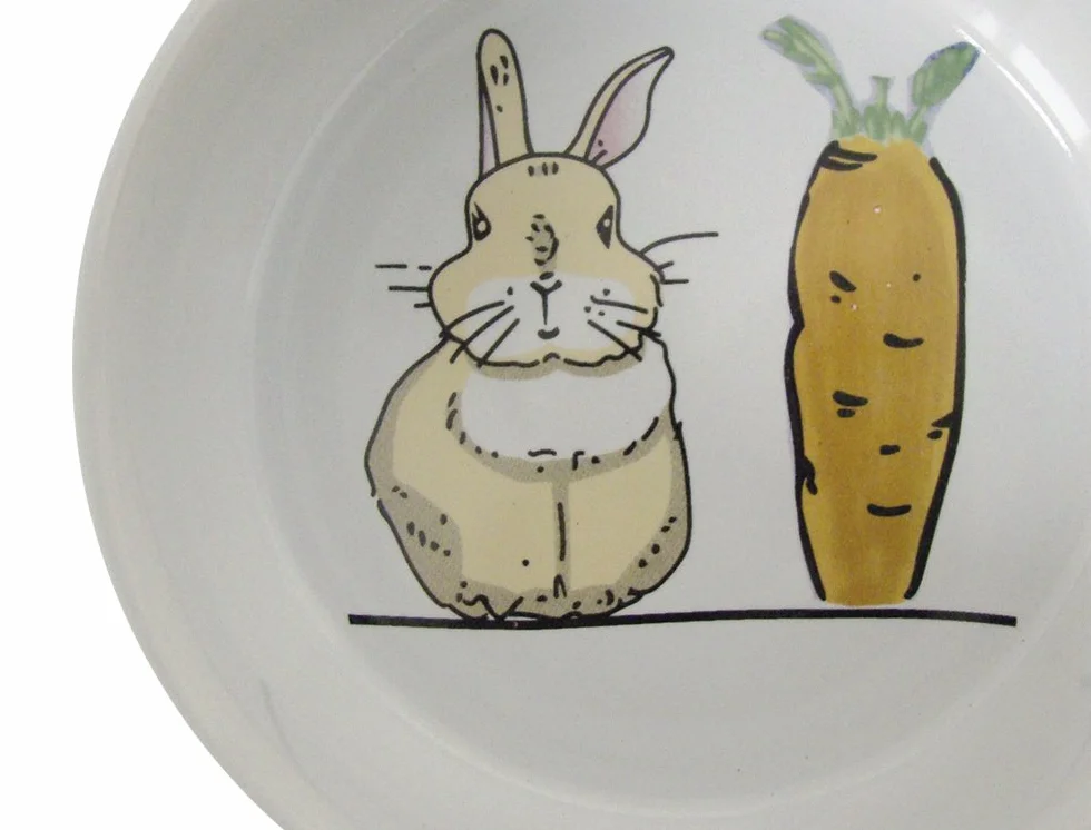 Nobby Ceramiczna miska dla gryzoni Carrot Plus biała Ø 11 cm 300 ml