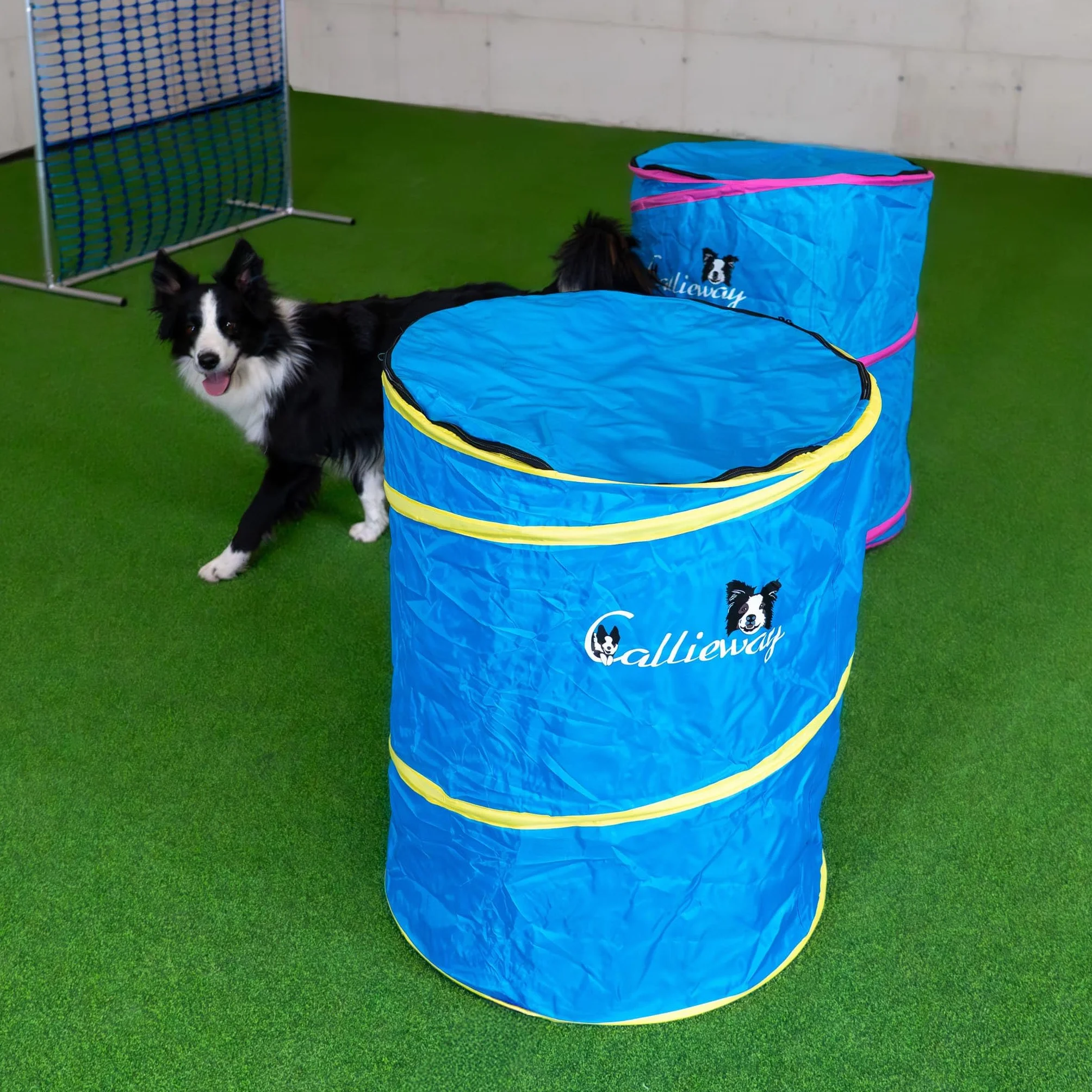 Callieway Hoopers Agility Barrel – Beczka do treningu psów, dwupak, niebieska, stabilna, torba transportowa