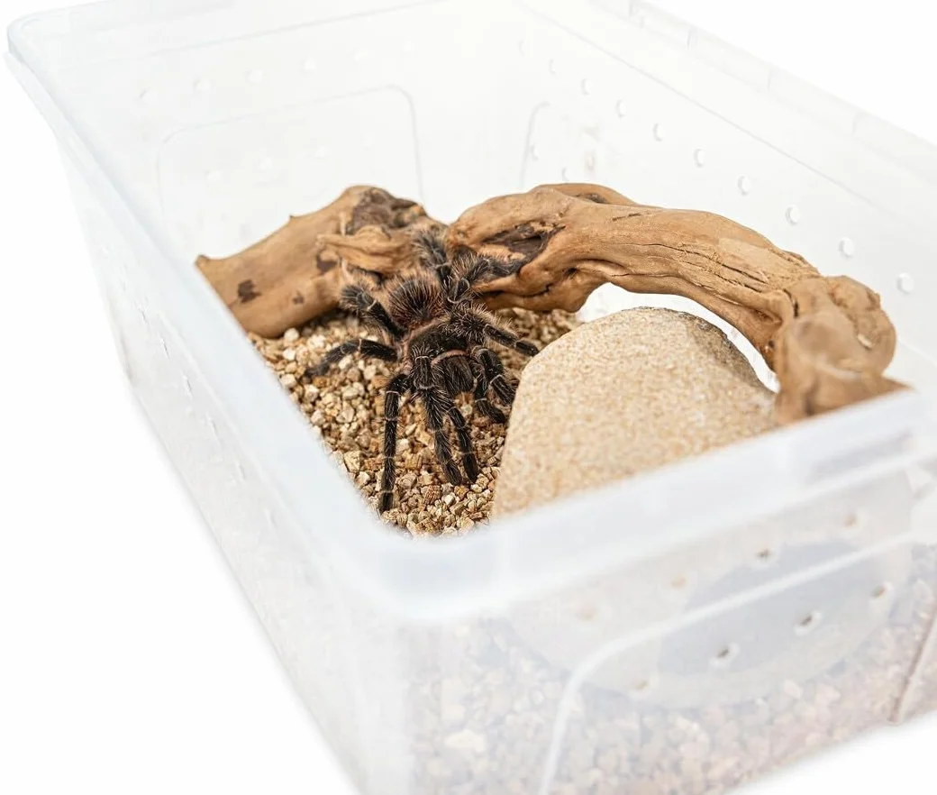 Happet Breeding Box 19×12.5×7.5 cm – pojemnik hodowlany przezroczysty z wentylacją i pokrywą dwustronną | plastikowy transporter i mini terrarium dla gadów, płazów, owadów i pajęczaków