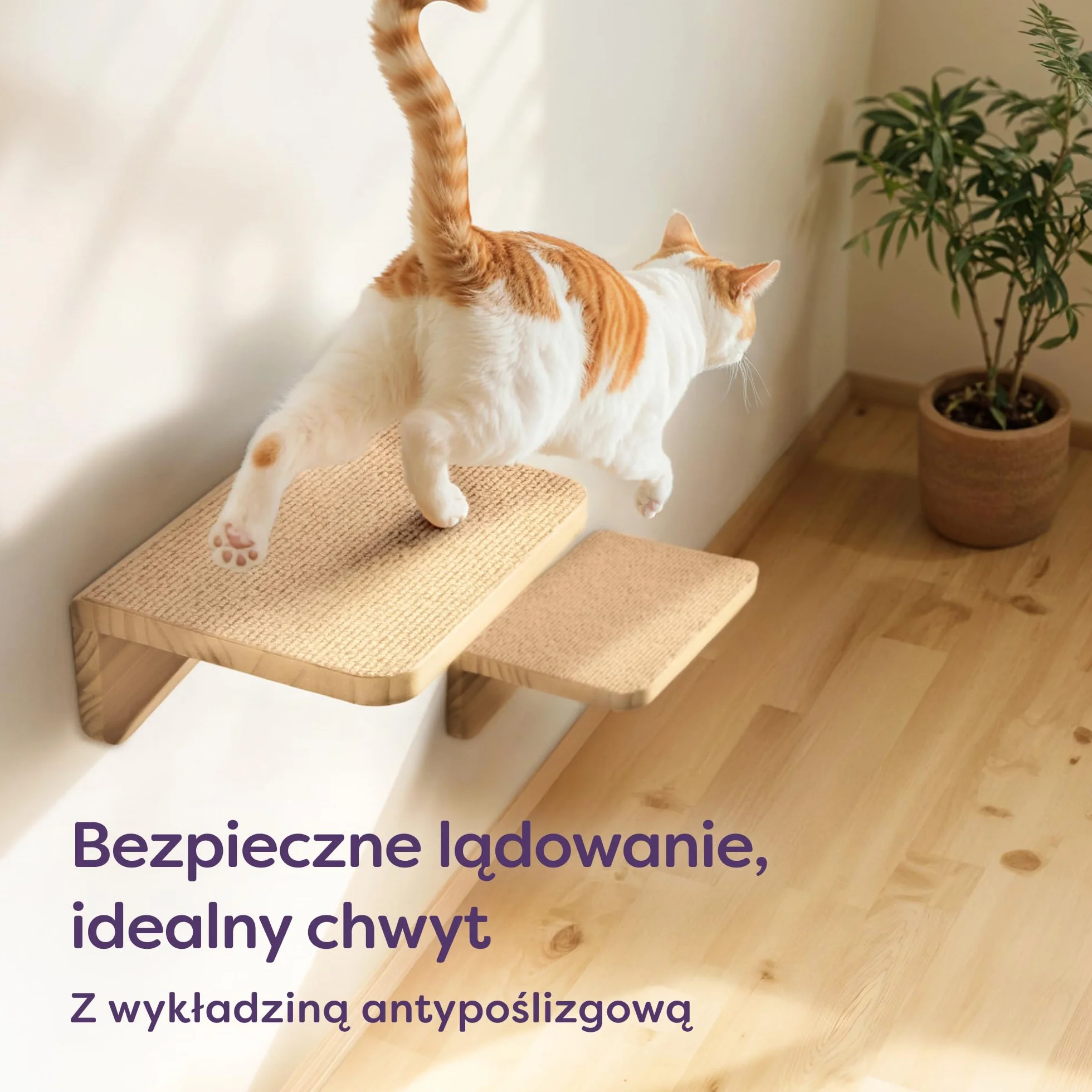 Knupis Zestaw Ściennej Drabinki dla Kota z Hamakiem i Schodkami Lite Drewno Sosnowe FSC Stabilna Półka Ścienna do 30 kg Beżowy