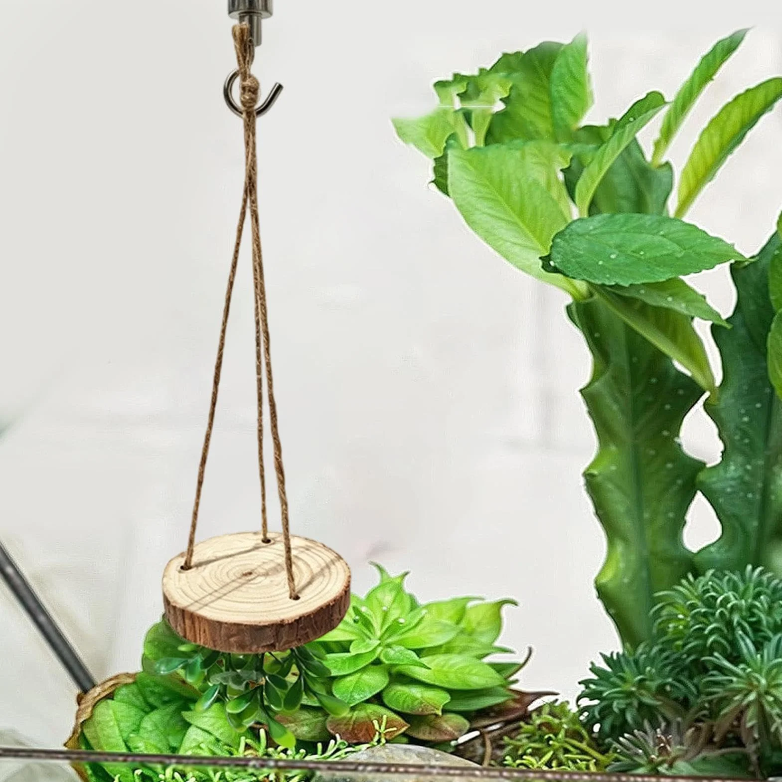 Gałąź Wspinaczkowa Do Terrarium Dekoracja Pająka Skaczącego Dla Gadów