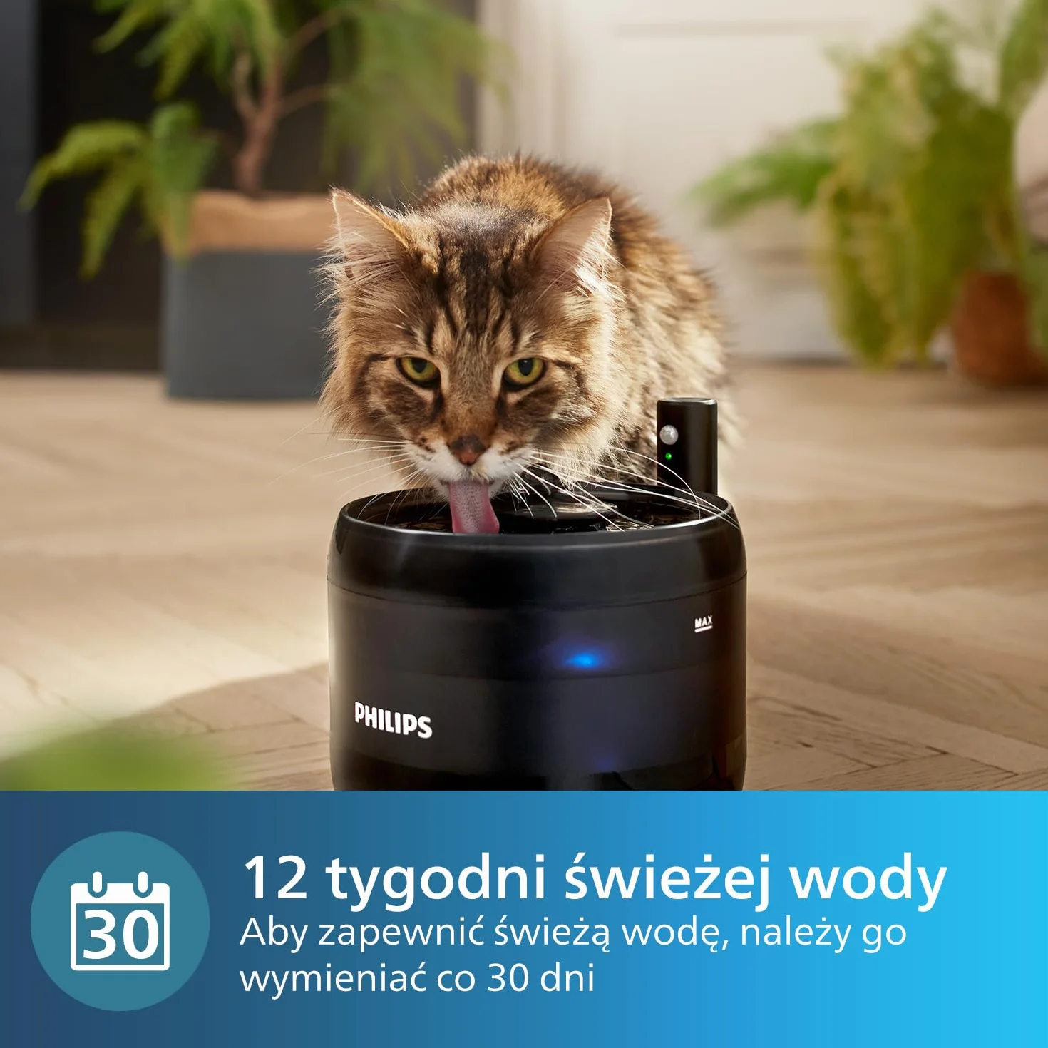 Philips Filtry Wielowarstwowy do Fontanny z serii dla zwierząt, Zestaw 3 Filtrów Wymiennych Biały PAW0010/01