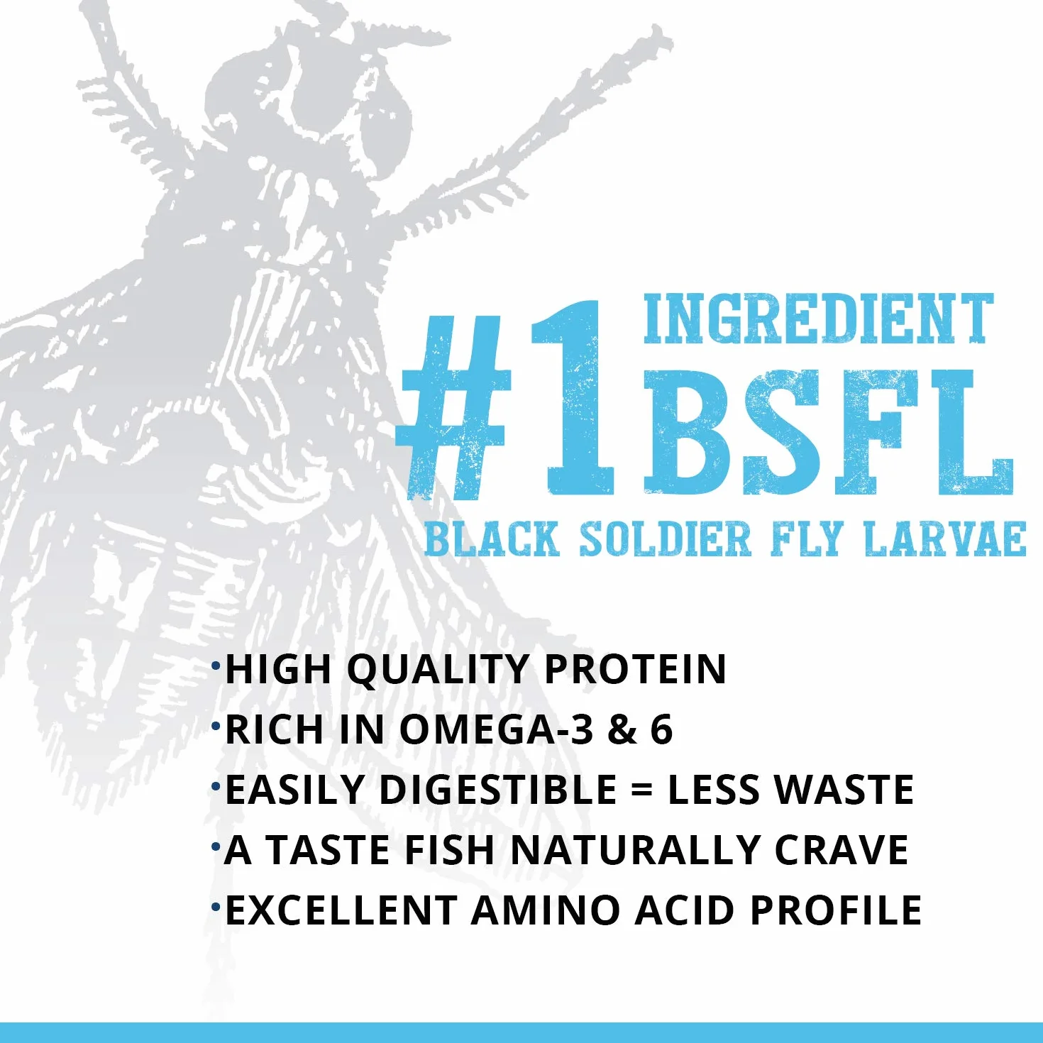 Bug Bites Tropical Micro Granules Fish Food Insect-Based for Small to Medium Fish Black Soldier Fly Larvae 45 g