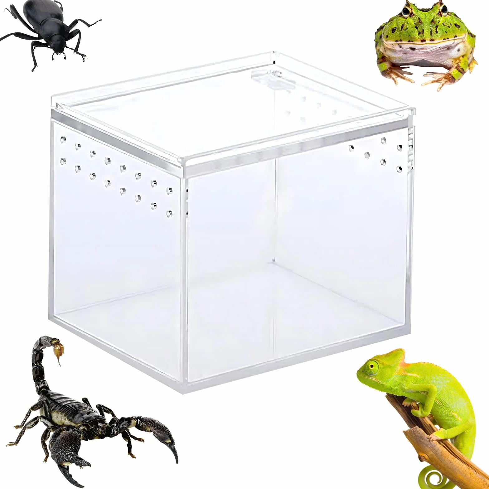 Pudełko na terrarium na gady, pudełko na owady, przezroczyste akrylowe pudełko na zwierzęta z gadami, 360 stopni, pojemnik na Spide, jaszczurkę, pojemniki na skorpion (9 x 9,5 cm)