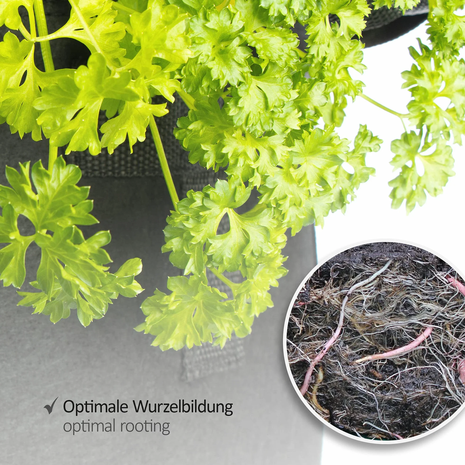 COM-FOUR® 5x worek na ziemniaki 30 L - pojemniki z uchwytami na pomidory - torba na rosliny - doniczka na sadzonki pomidorów - worek do ochrony roslin (30L - 5 sztuk)