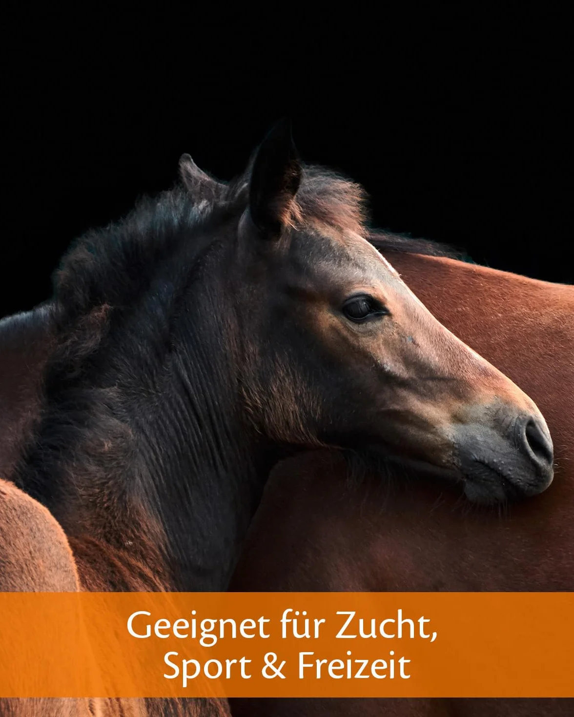 EQUISTRO® Haemolytan 400 karma uzupełniająca dla koni 1 l