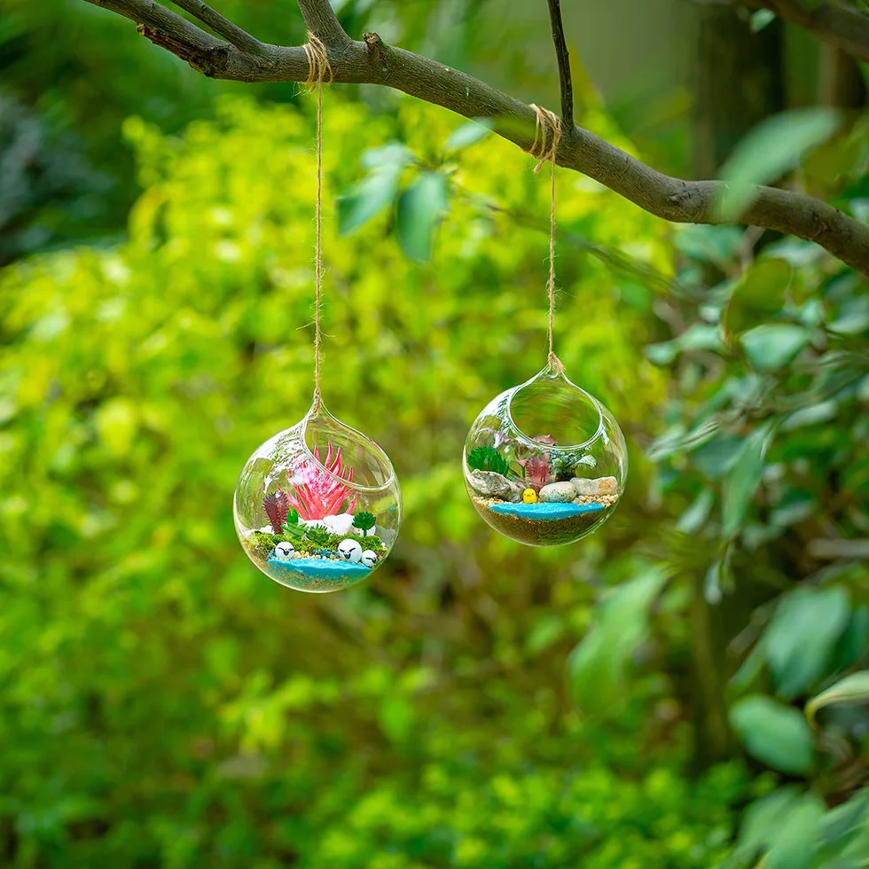 Wiszące szklane kule, terrarium, sukulenty, kule, szklana doniczka, duży otwór, paproć, rośliny, wazon, wieszak, na imprezę, ślub, ogród, design, 12 cm, 2 sztuki