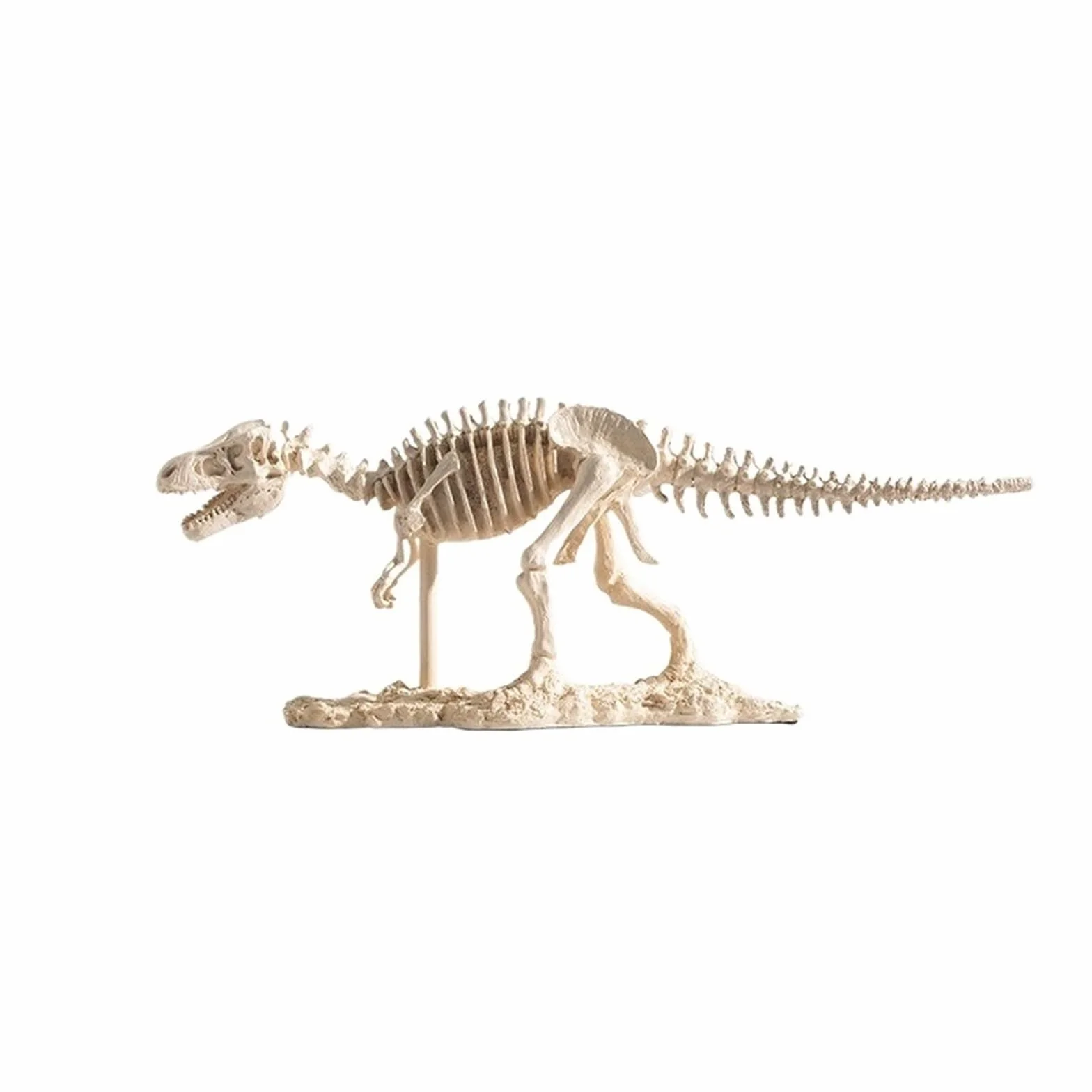 Dekoracje Stołu Realistyczna rzeźba szkieletu Tyrannosaurus Rex żywica dinozaur skamielina wystrój edukacyjna figurka kolekcjonerska Statua Sztuki