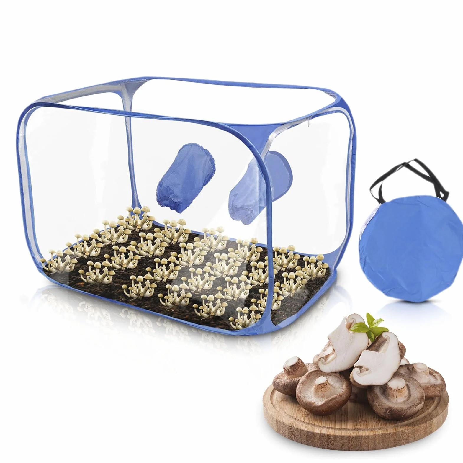 Still Air Box, Przenośny Składany Zestaw do Wzrostu Grzybów, PVC 2 Porty 35,5x23,5x23,5 o średnicy Mikologii Stacje Rozmnażania Okapu dla Miłośników Grzybów