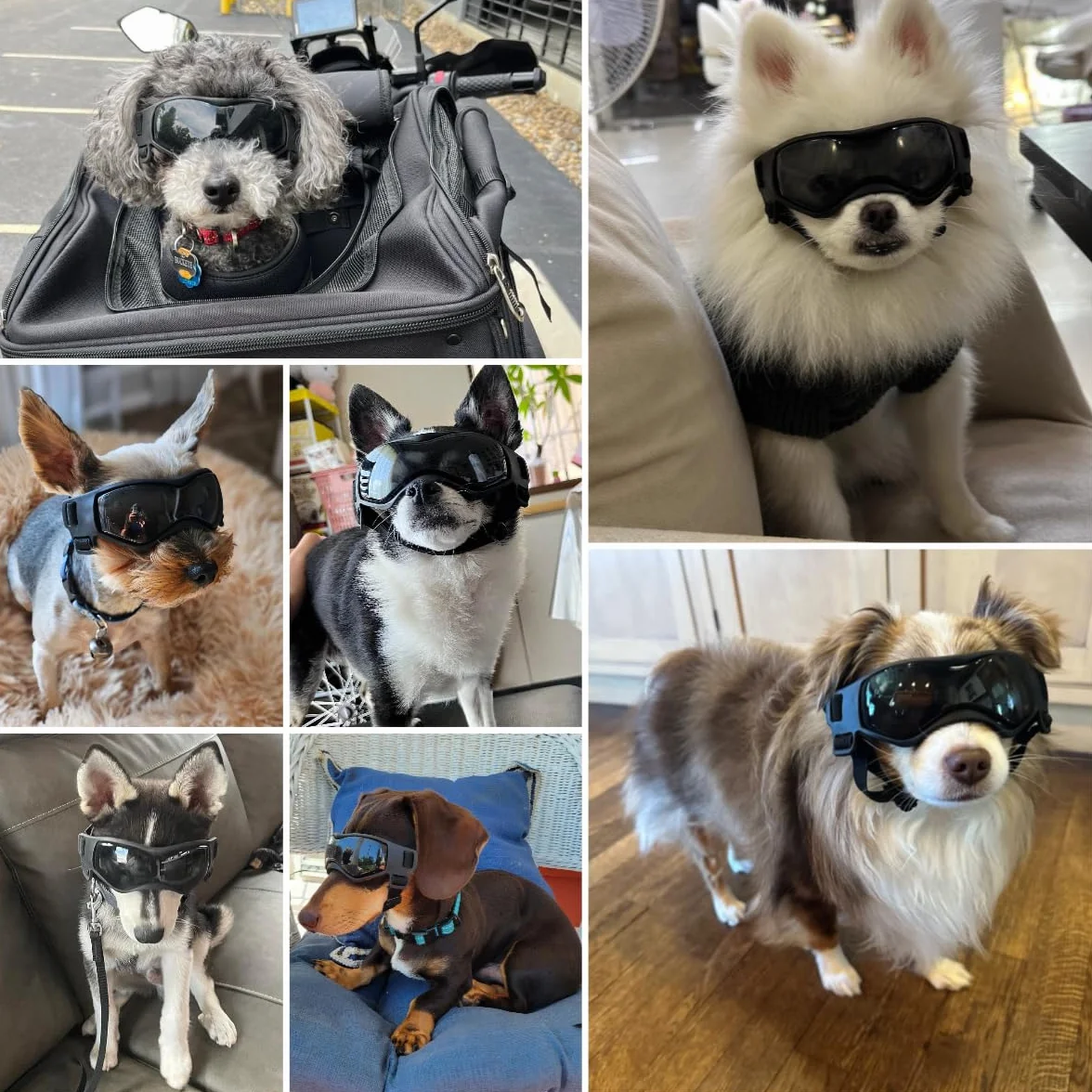 Gogle dla psów dla małych ras, odporne na promieniowanie UV, wiatroszczelne, ochrona oczu, okulary przeciwsłoneczne dla zwierząt domowych z regulowanymi paskami do jazdy / aktywności na