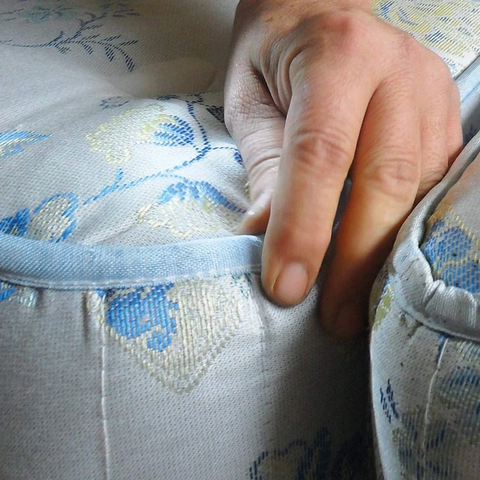Polti Cimex Eradicator, odkurzacz parowy do zwalczania pluskiew, bez insektycydów, z nasyconą suchą parą przegrzaną do 180 ° C, 2250 W, stal nierdzewna, biały