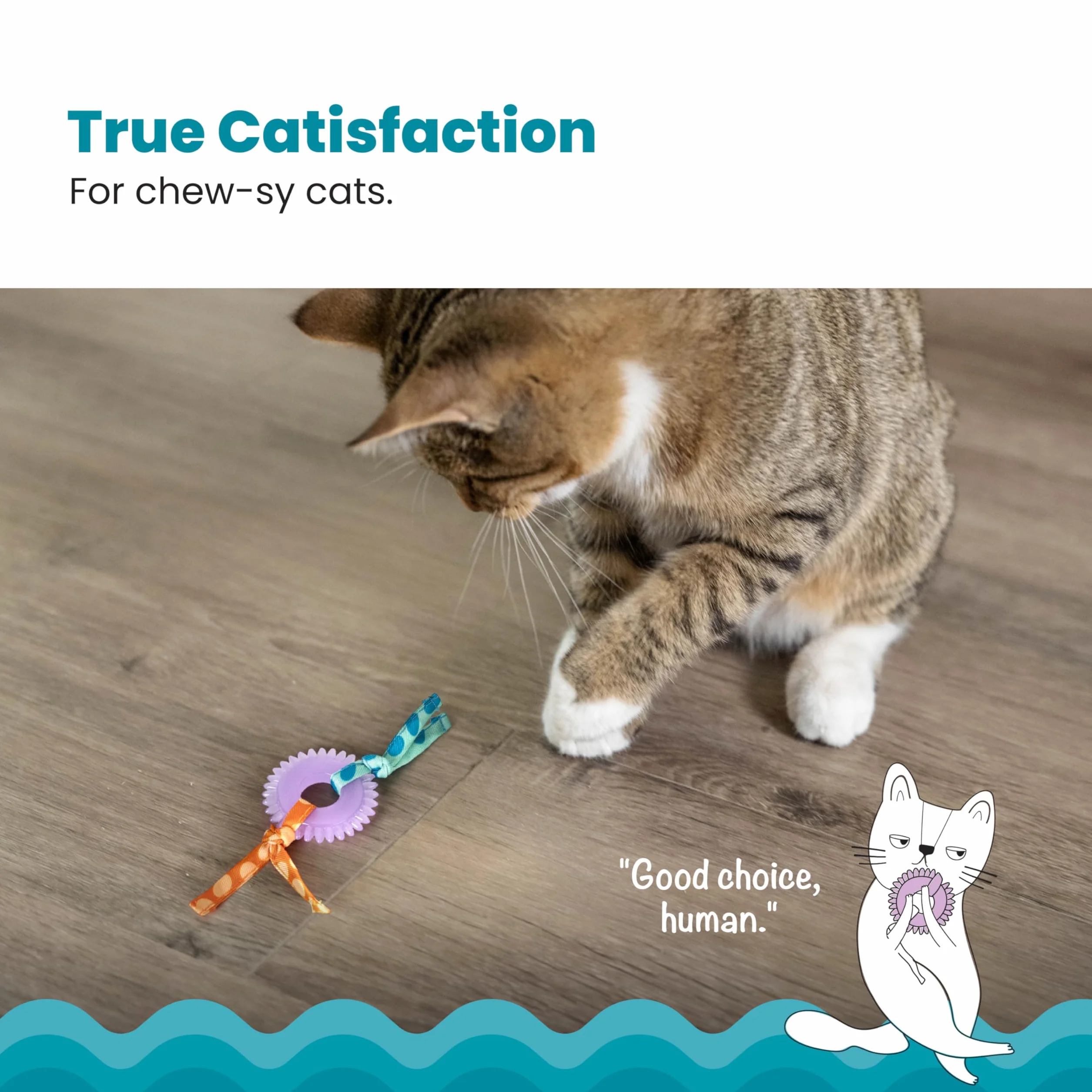 Petstages Dental Kitty Chew Wheel Zabawka dla kotów z kocimiętką wielobarwna