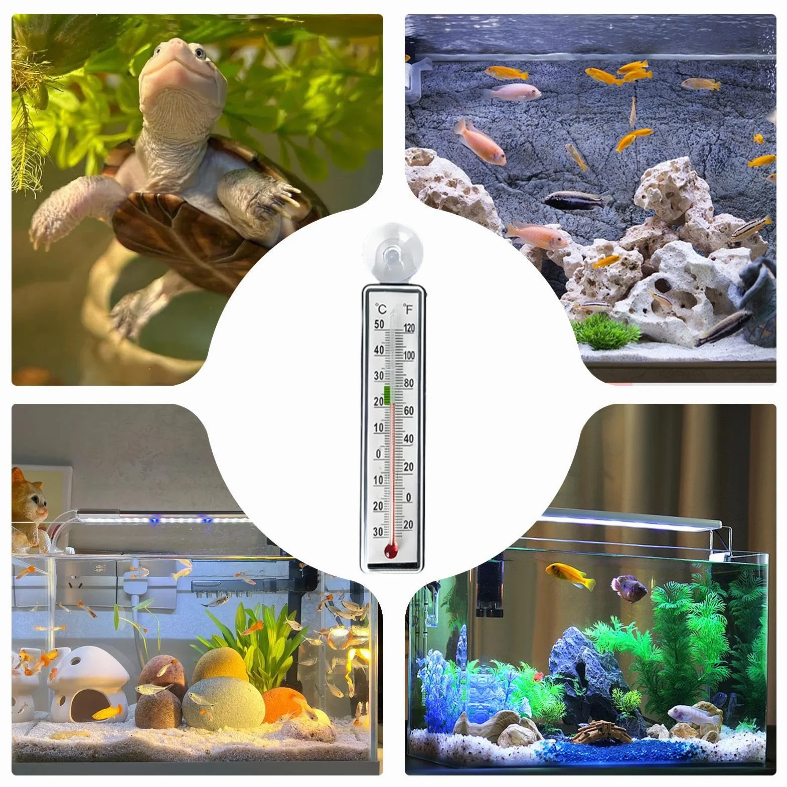 Termometr do Akwarium - Monitor Temperatury w Terrarium - Antykolizyjny Termometr Z Przyssawką Dla Terrarium Gadów Akwarium Gotowania Warzenia I Pieczenia
