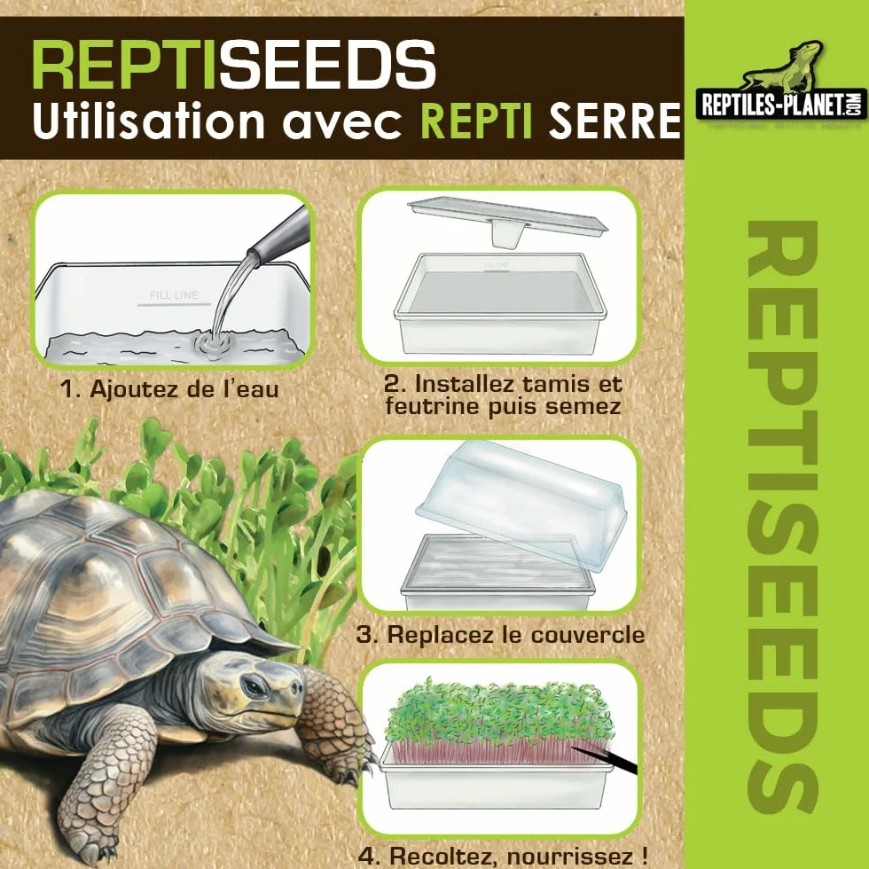 Reptiles Planet - Reptiseeds - Mieszanka nasion kiełkujących żółwia ziemnego - 100g