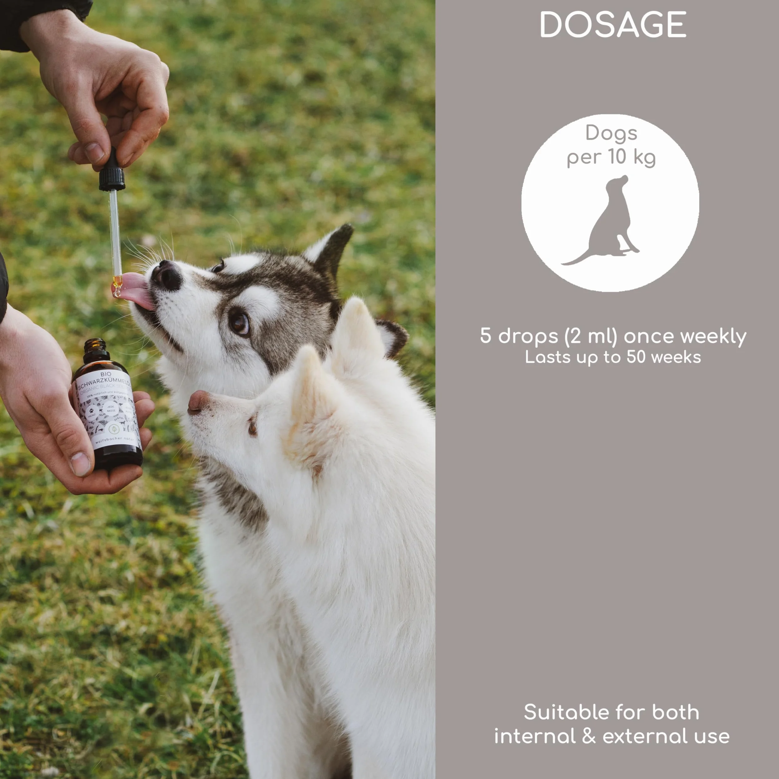 Schwarzkümmelöl für Hunde 50ml tłoczone na zimno ekologiczne Nigella Sativa