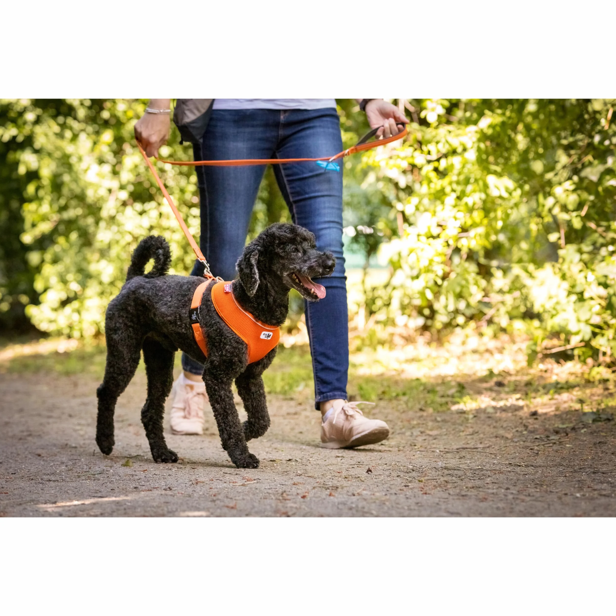 Air-Mesh Basic Harness Black M