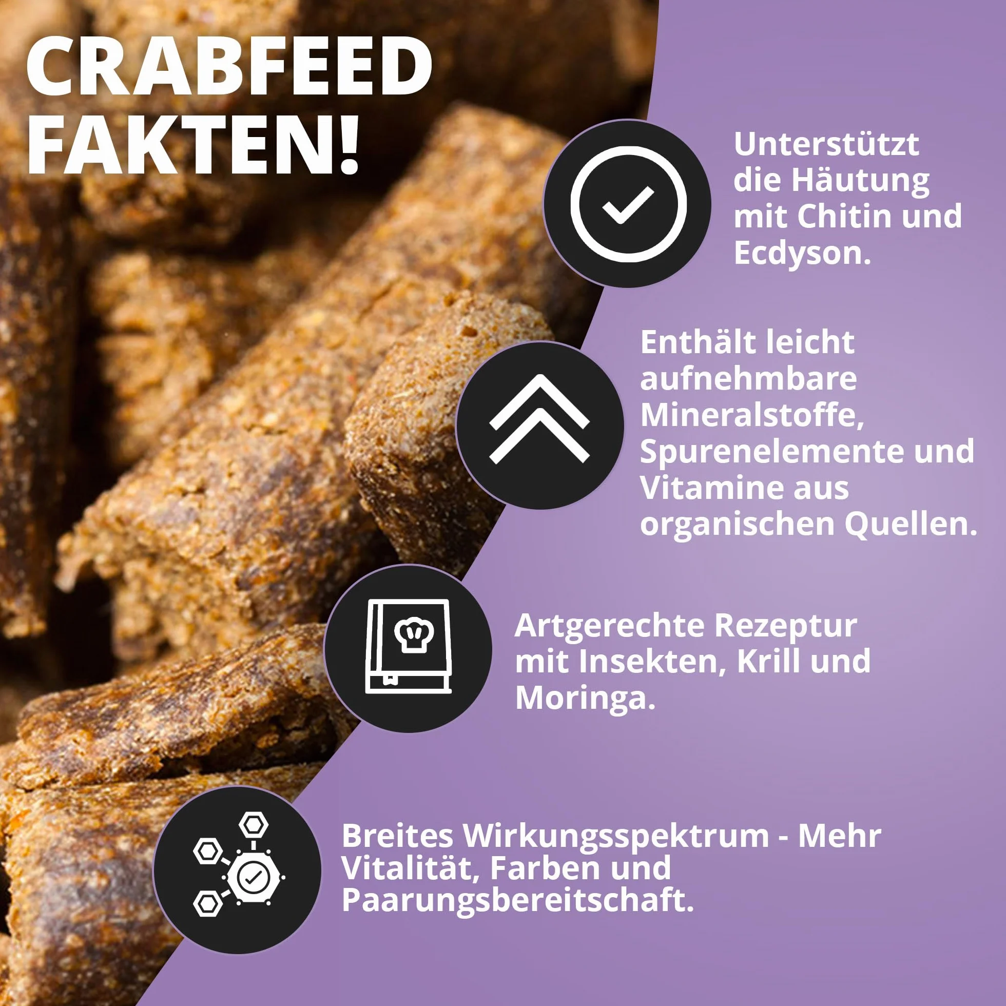 NatureHolic - Krabbenfeed I pokarm dla krabów I wysokiej jakości naturalne składniki, które wyprodukowałem w Niemczech I do krabów w terrarium, paludarium, akwarium, akwarium i akwarium