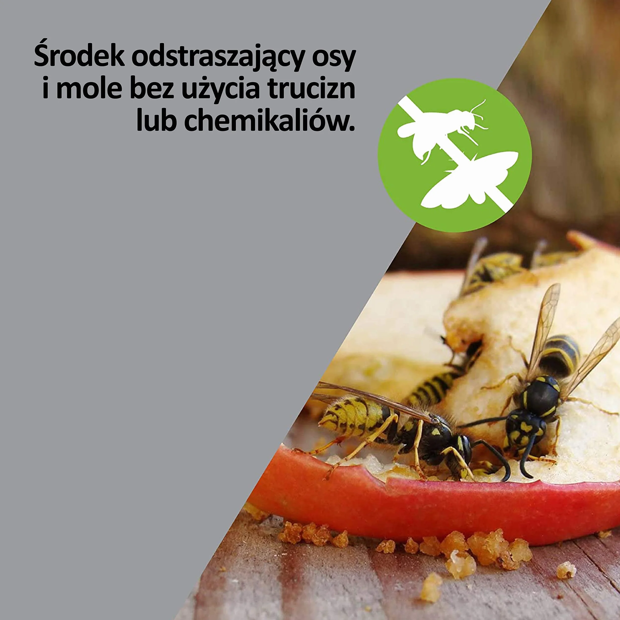 ISOTRONIC ochrona przed osami, odstraszanie moli, odstraszanie os dzięki ultradźwiękom i zmiennej częstotliwości, ochrona przed molami | 1 sztuka