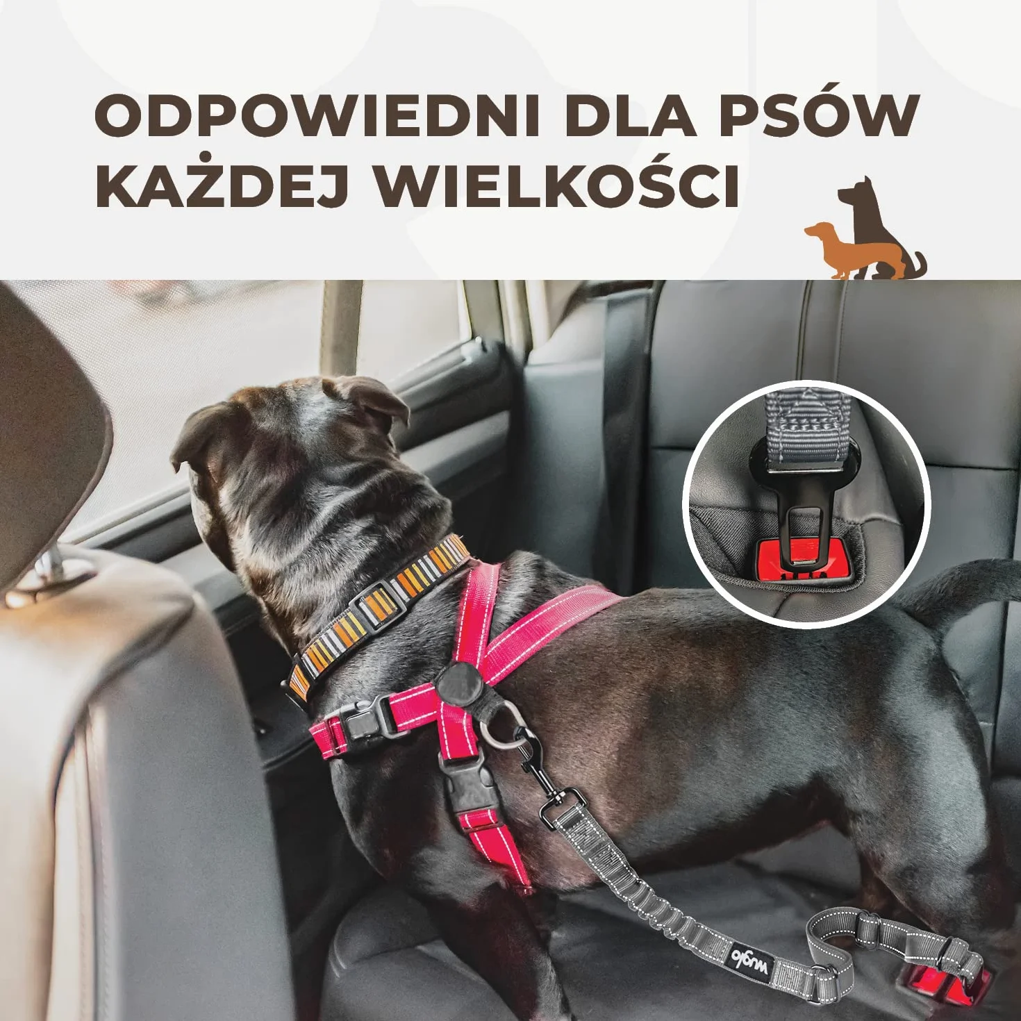 38-95cm Pas Bezpieczeństwa dla Psa – Pasy dla Psa do Samochodu – Wytrzymały i Mocny Pas Samochodowy dla Psa – Elastyczny Pas Bezpieczeństwa dla Psów – Uniwersalne Pasy do Przewozu Psa (Szary)