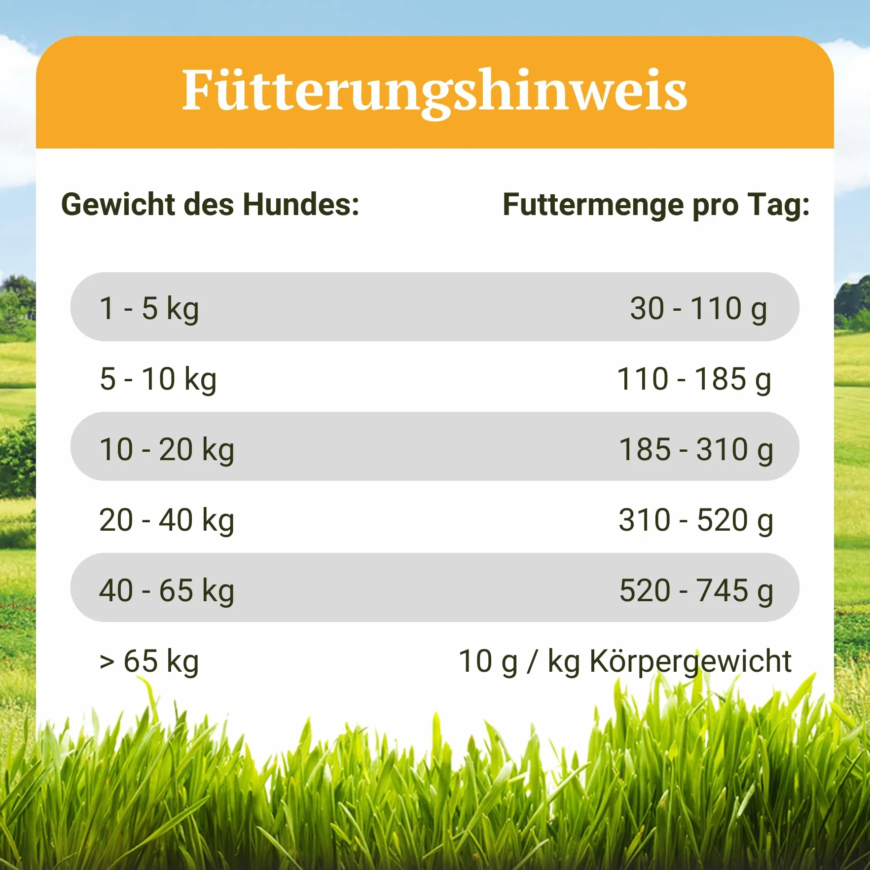Bellfor Naturfarm-Schmaus hipoalergiczna sucha karma dla psów bez zbóż z owadami 2,5 kg